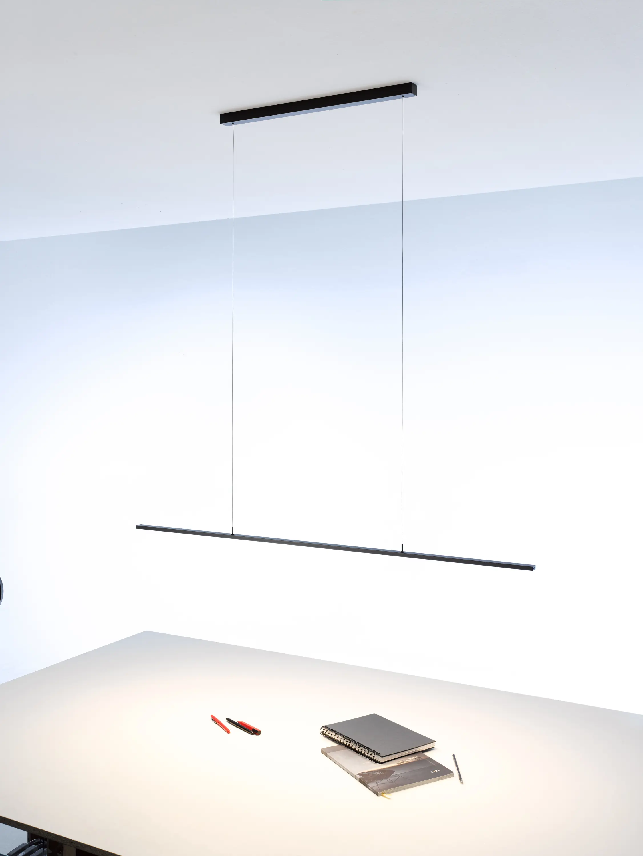 GERA - Pendelleuchte 20x10 | GERA Lichtsystem 4