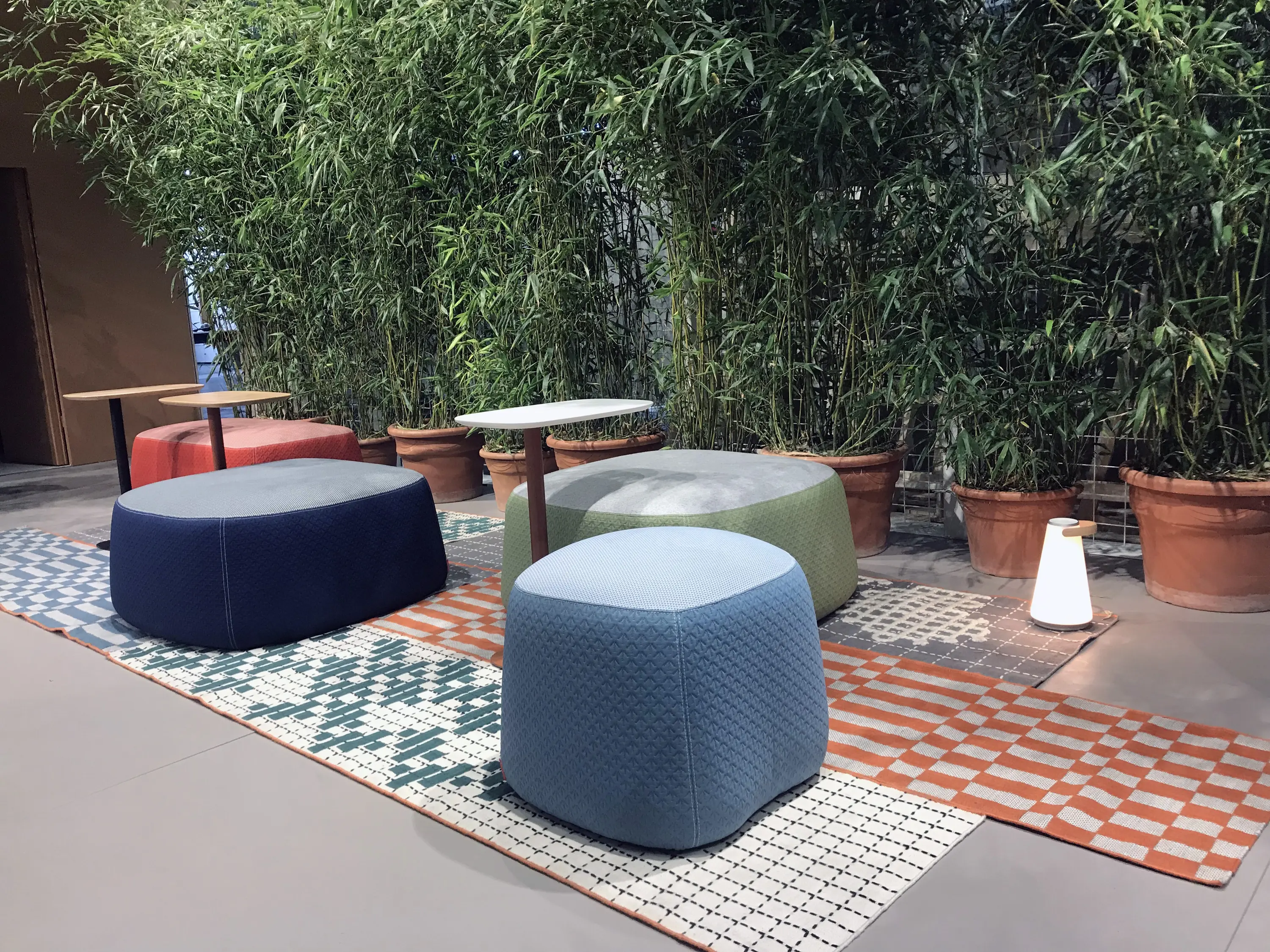 Haworth - Openest Chick