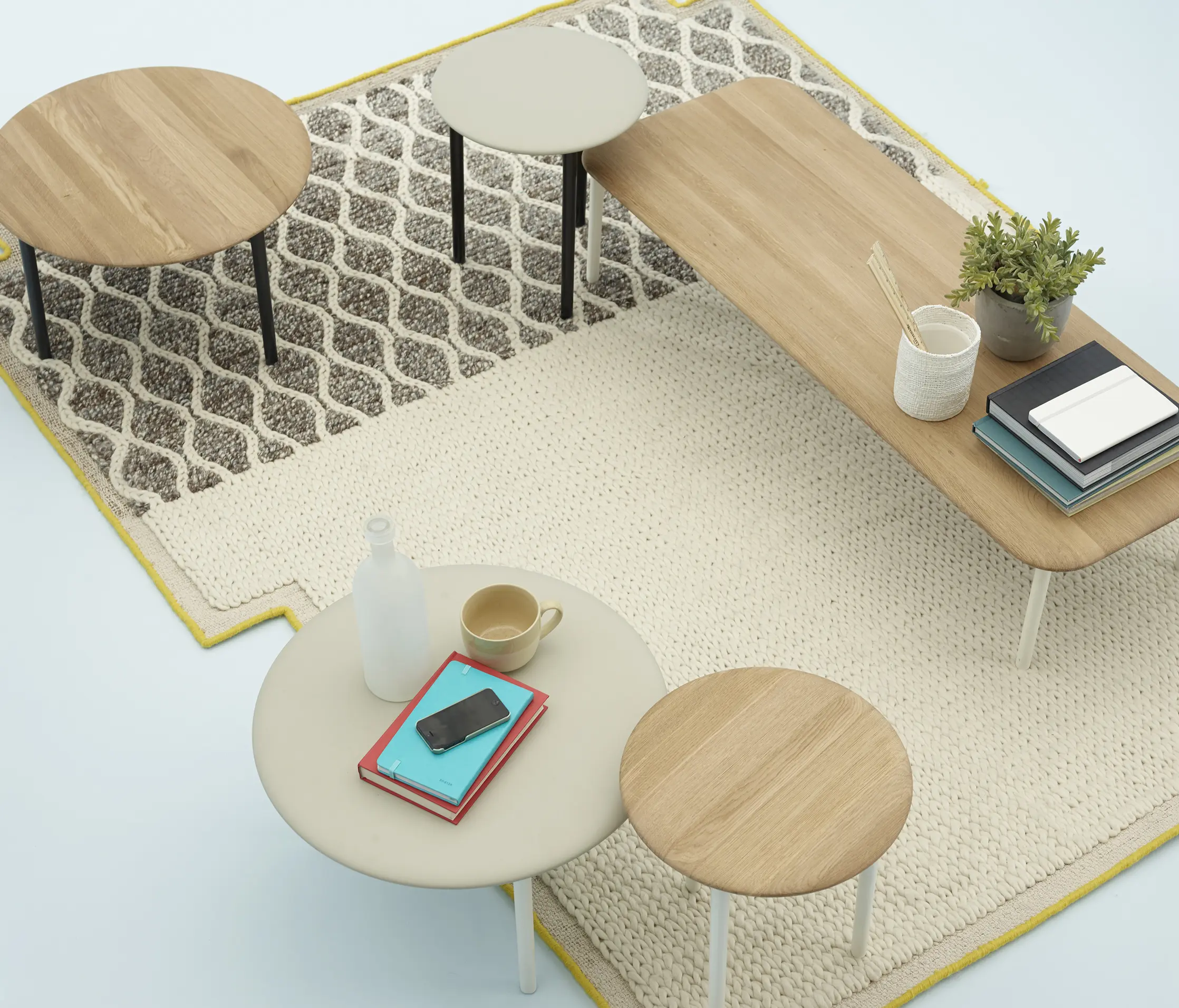 Haworth - Openest Sprig