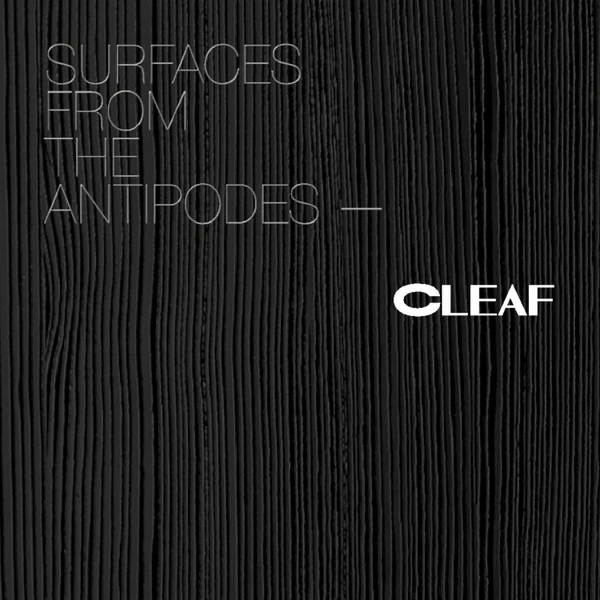 Imagen de vista previa del archivo Surfaces from the antipodes