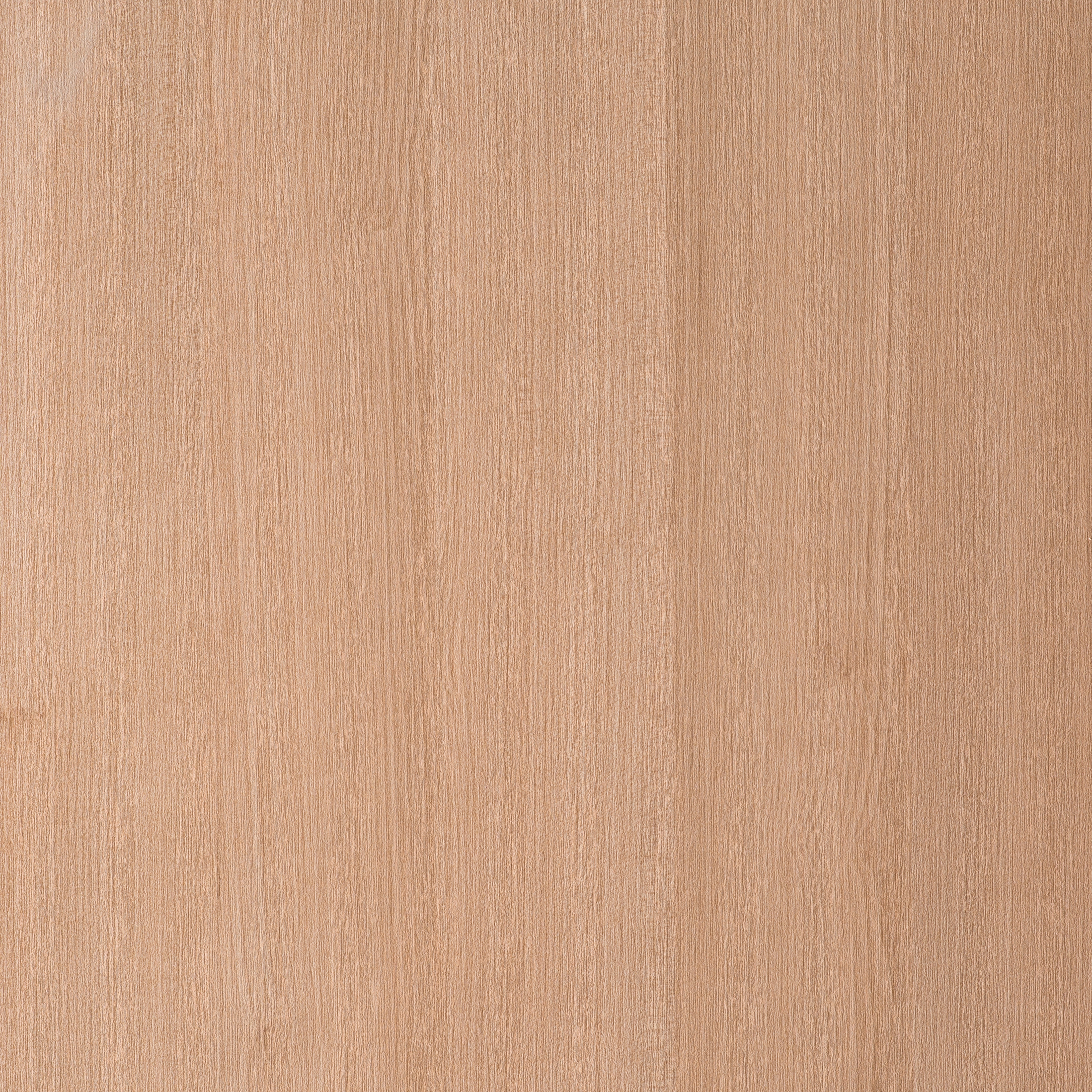 Display product Maloja S035 from manufacturer CLEAF