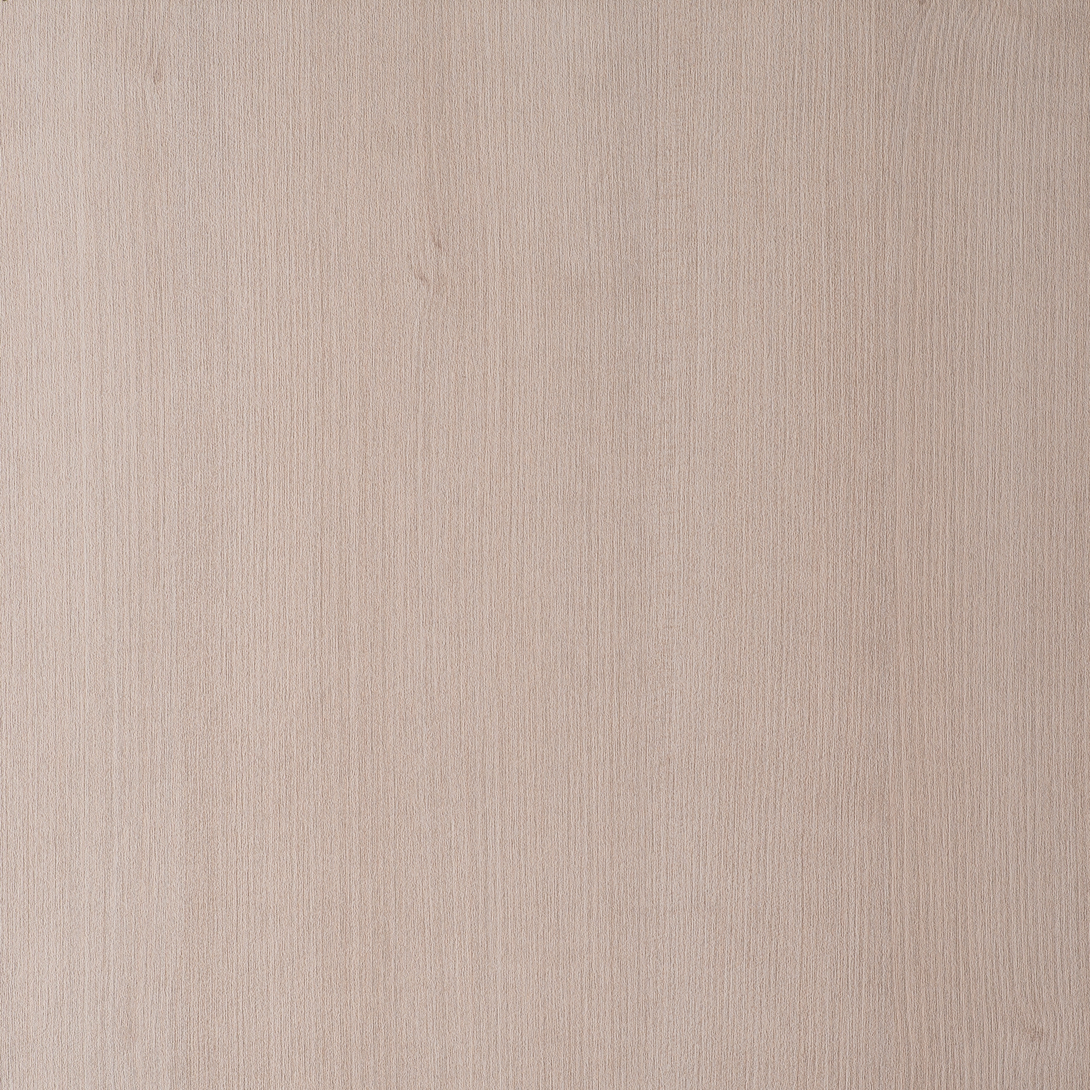 Display product Maloja S034 from manufacturer CLEAF