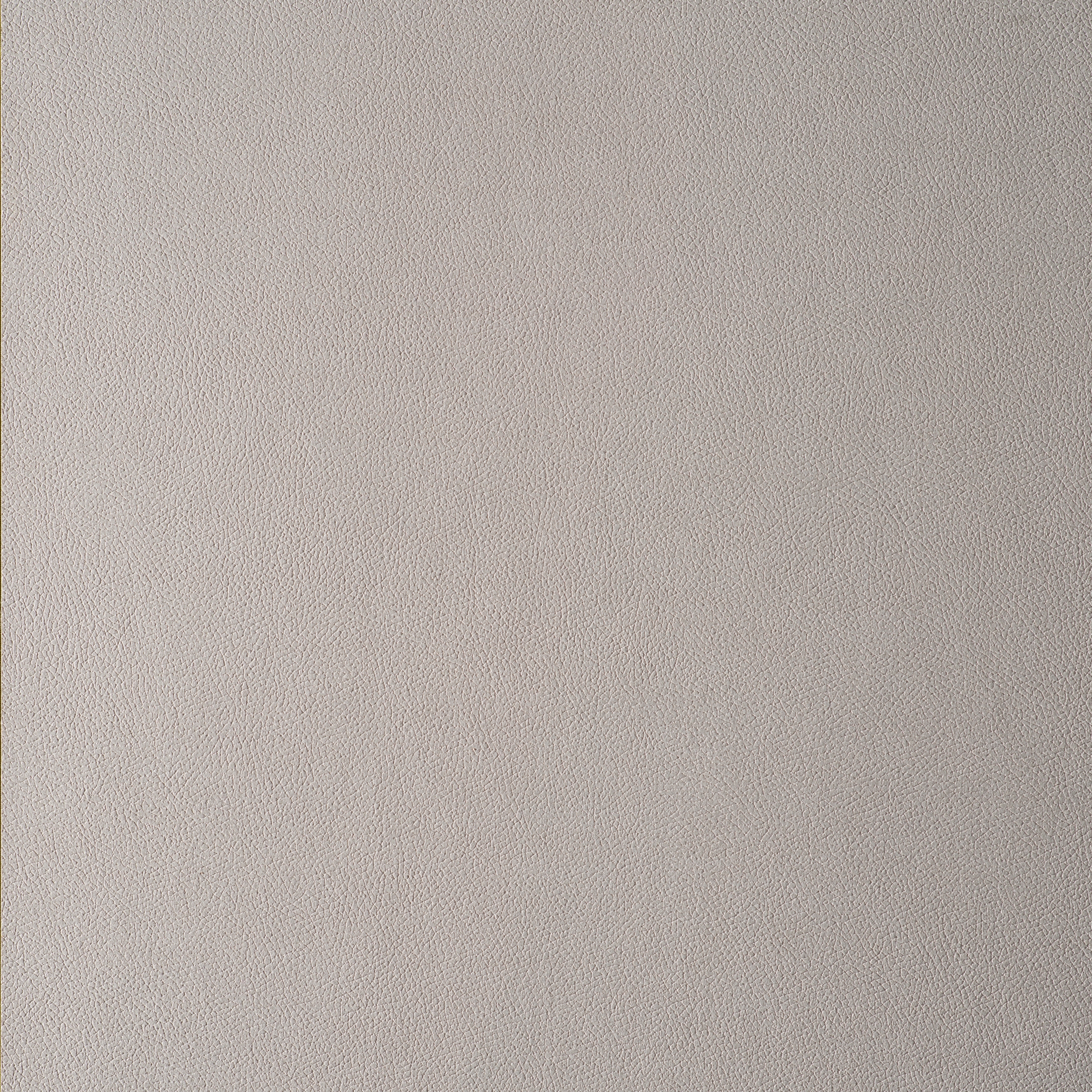 Afficher le produit Primofiore FA41 du fabricant CLEAF