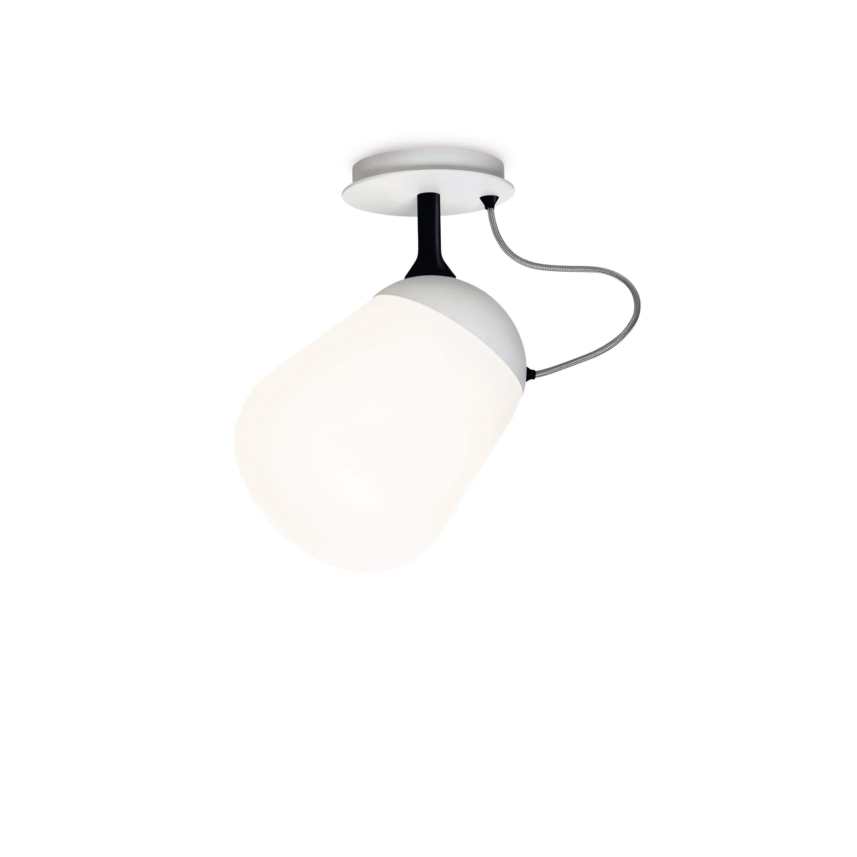 Display product Hippo Ceiling / Wall lamp from manufacturer Vertigo Bird