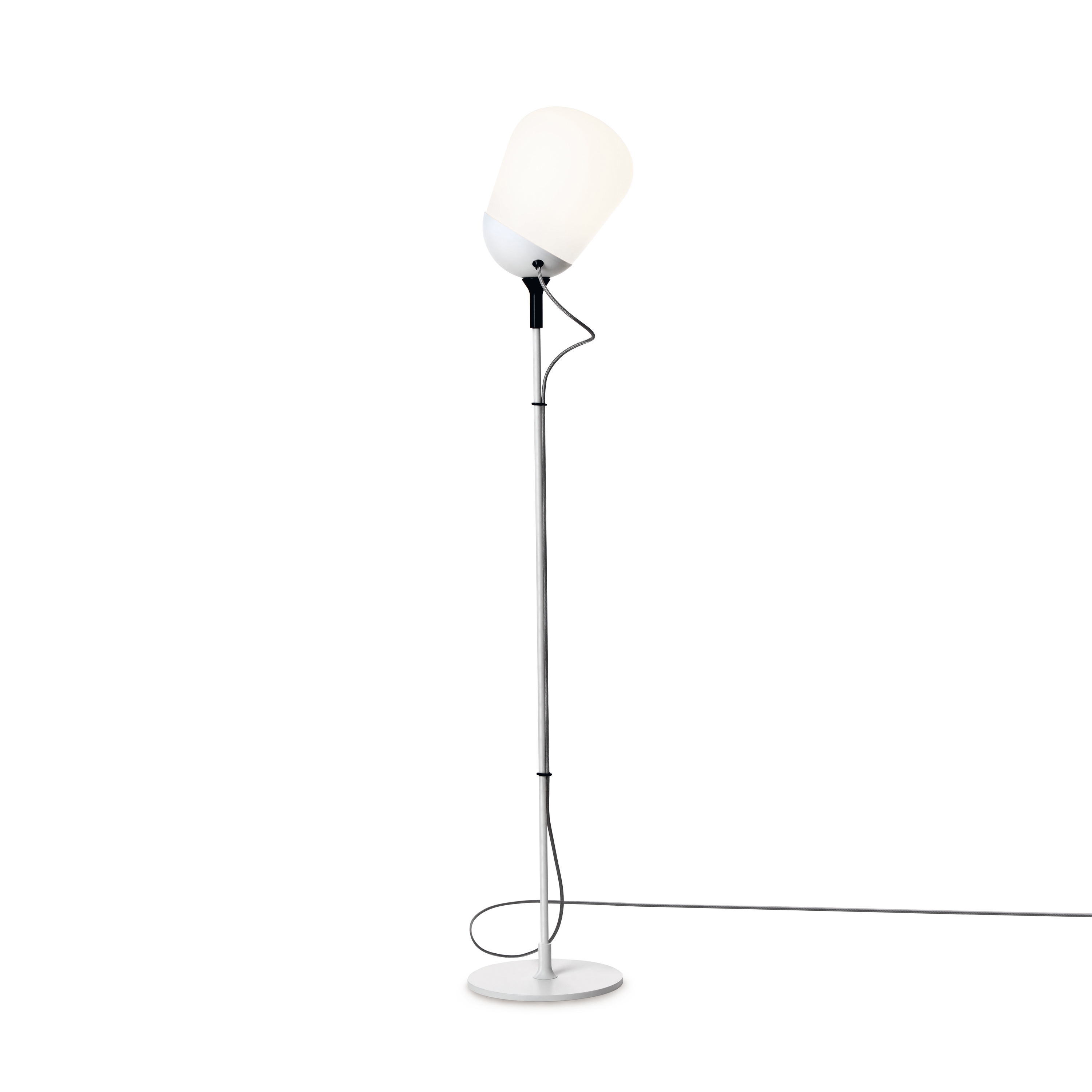 Display product Hippo Floor lamp from manufacturer Vertigo Bird