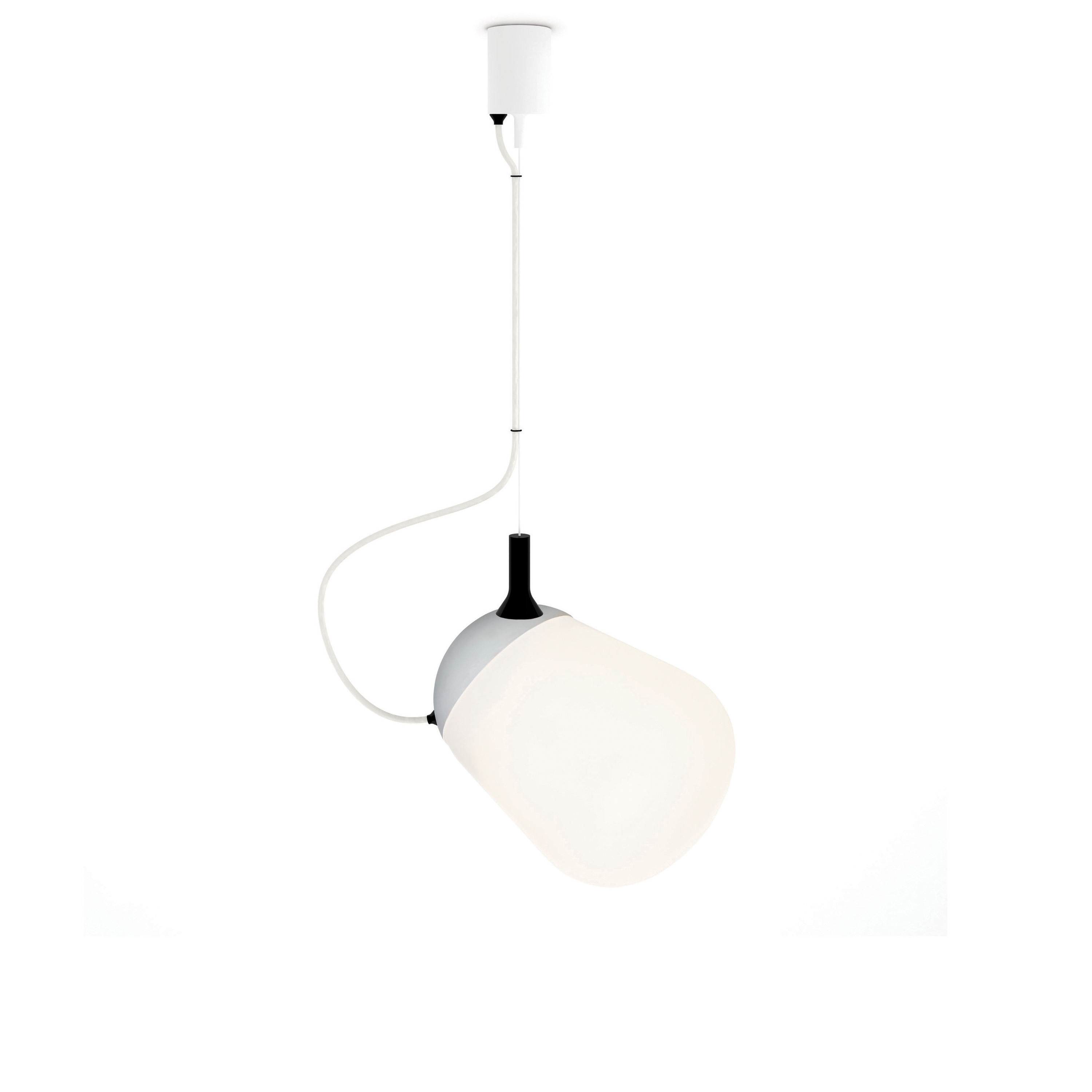 Display product Hippo Suspension lamp from manufacturer Vertigo Bird