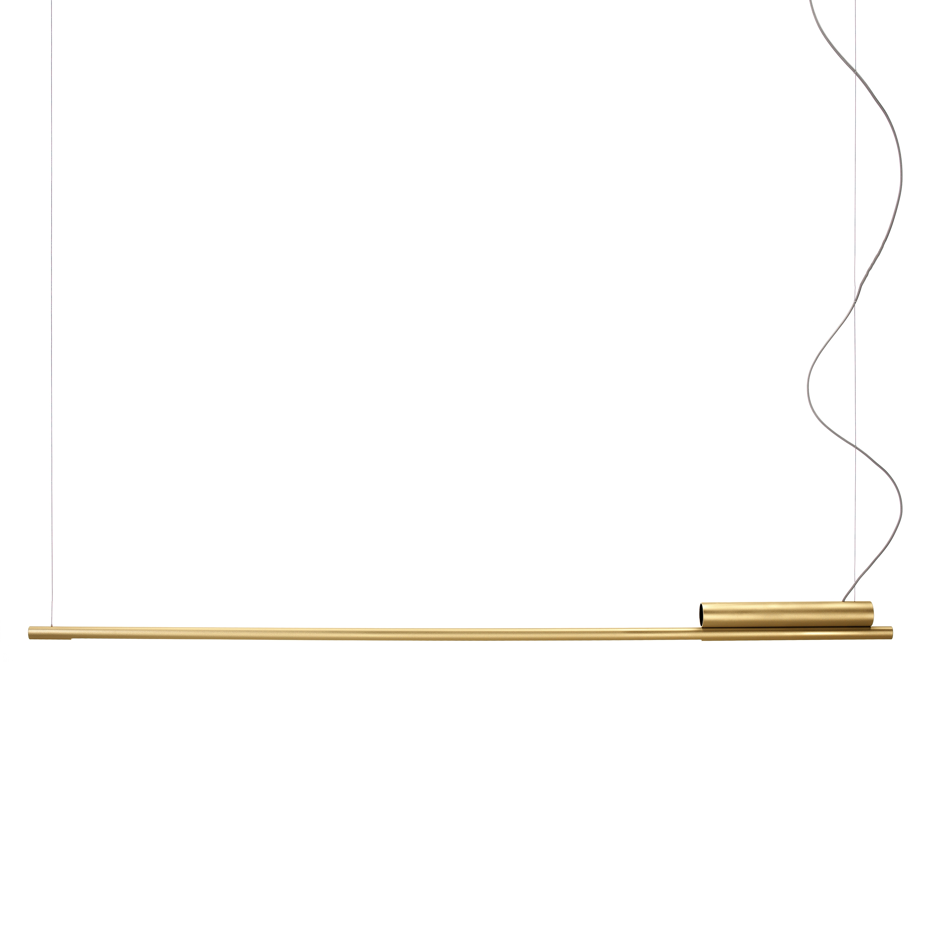 Display product Slim too long from manufacturer Vertigo Bird