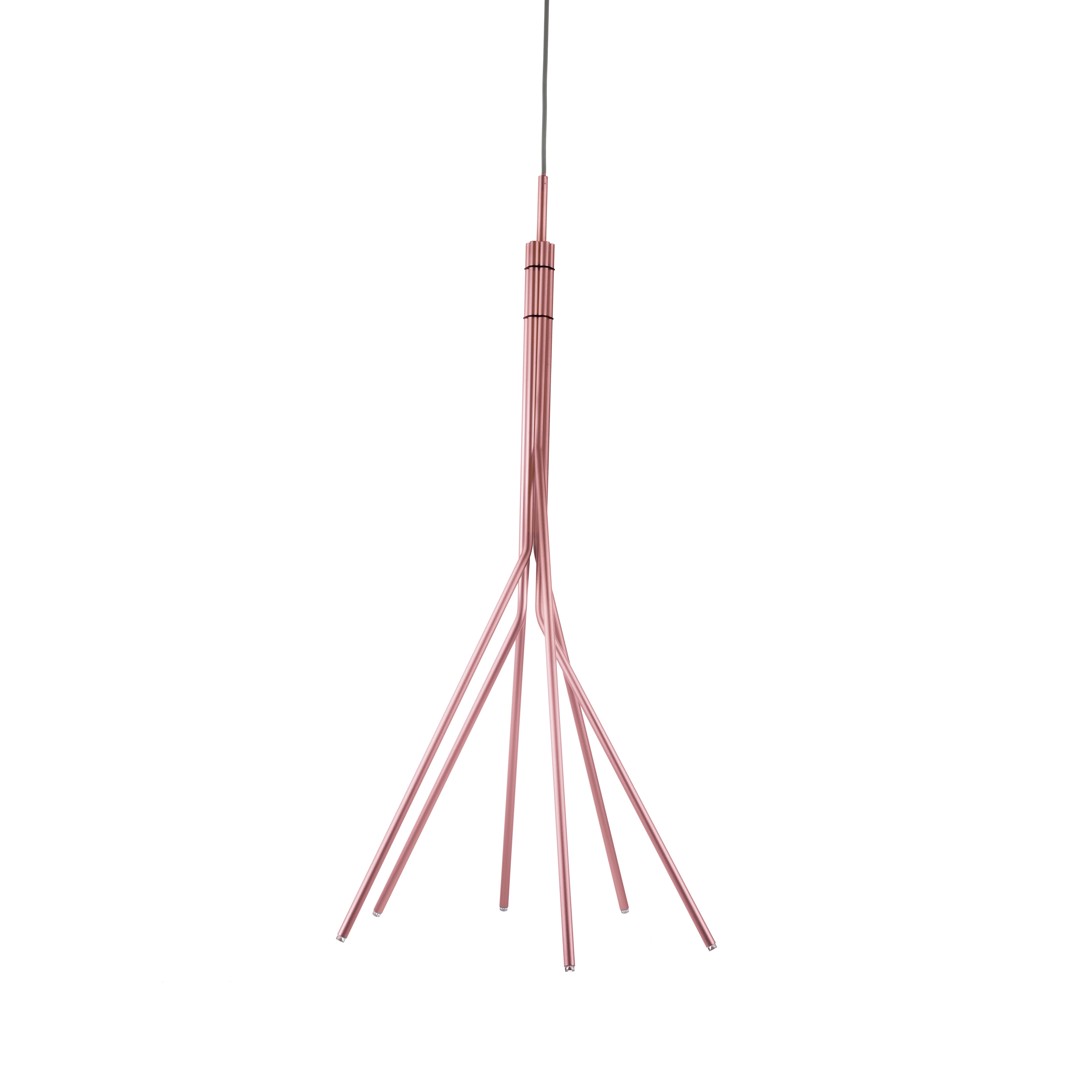 Display product Treelight 60 from manufacturer Vertigo Bird