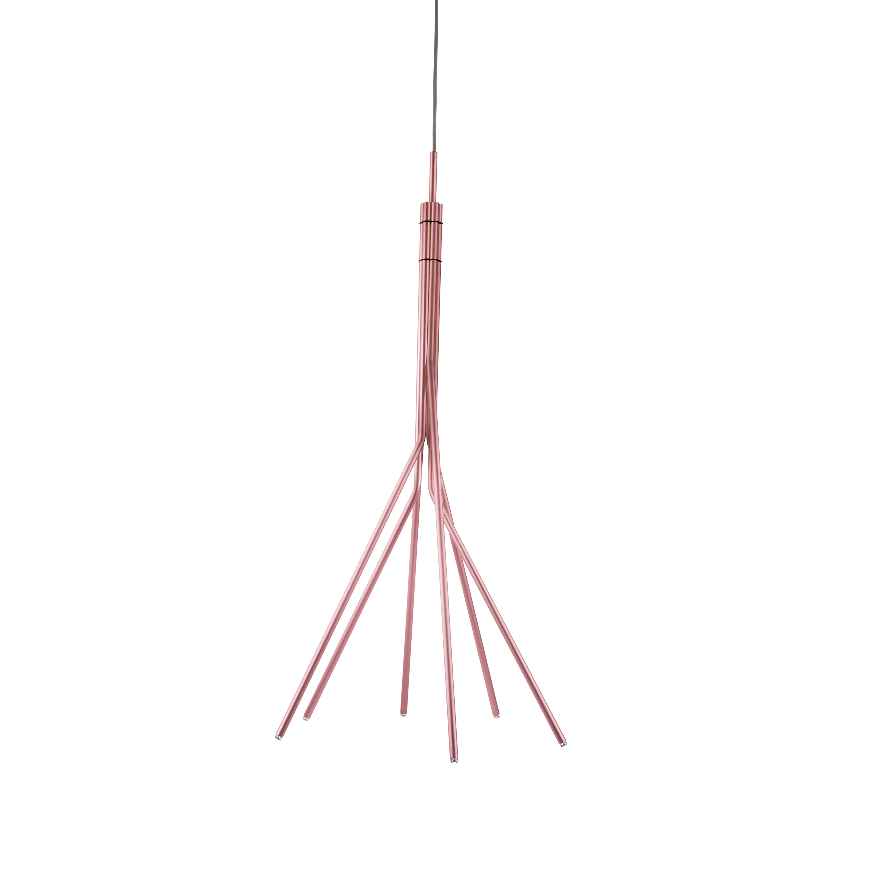 Display product Treelight 30 from manufacturer Vertigo Bird