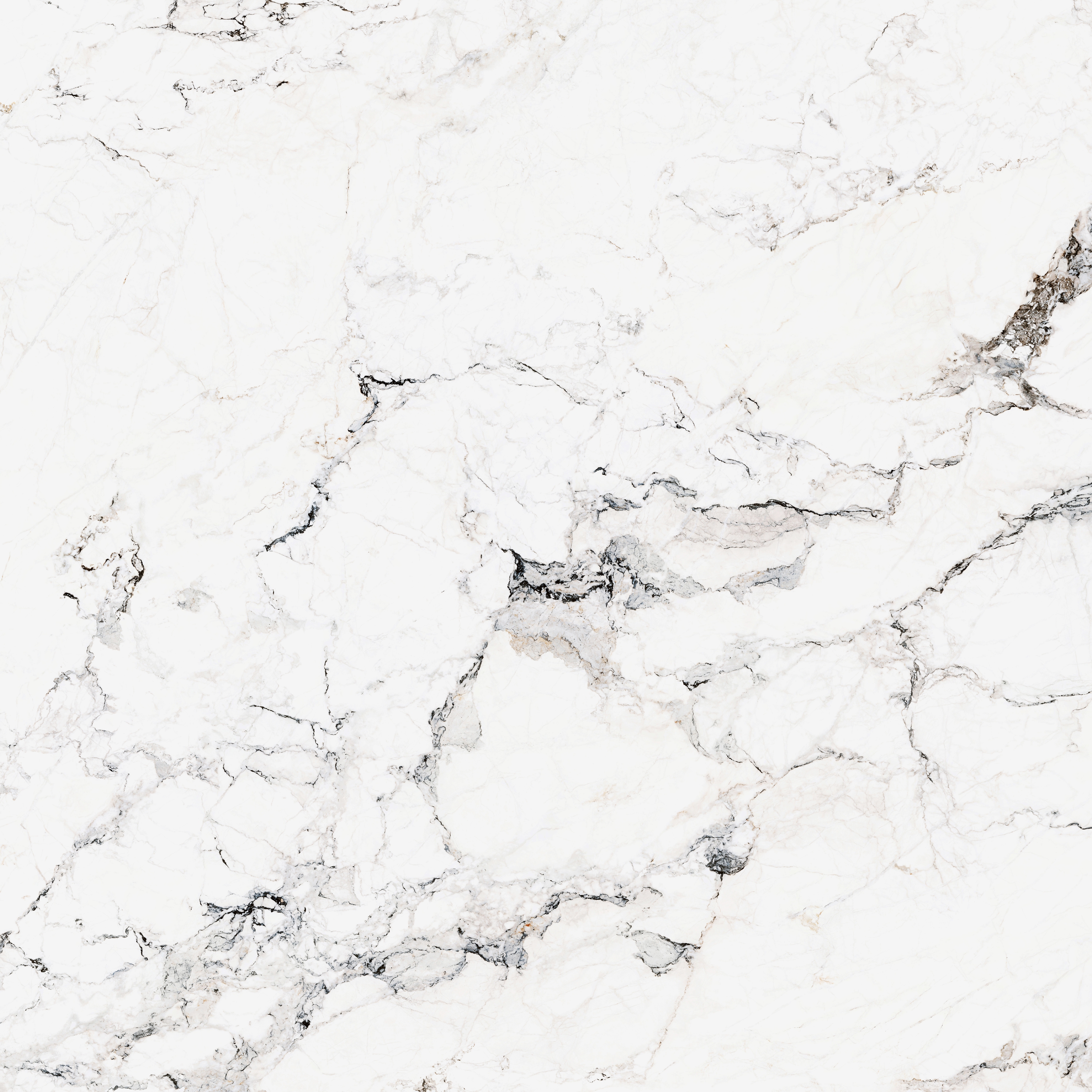 Marbleart 120x120, Glossy, Camouflage White, Floor Tiles, Wall Tiles, FLPR, 9mm, Glazed porcelain