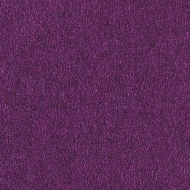 Bergen violet