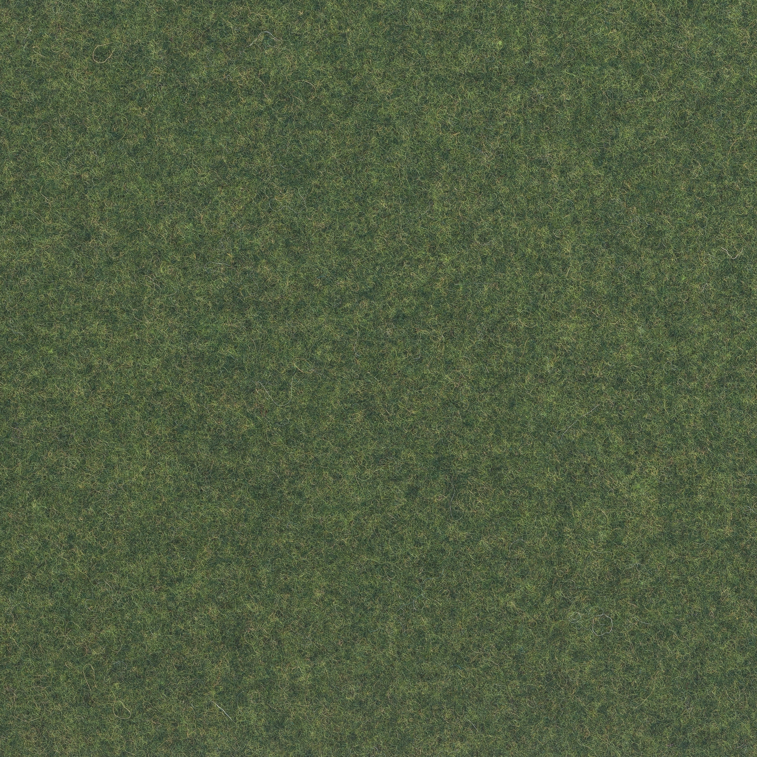 Bergen green