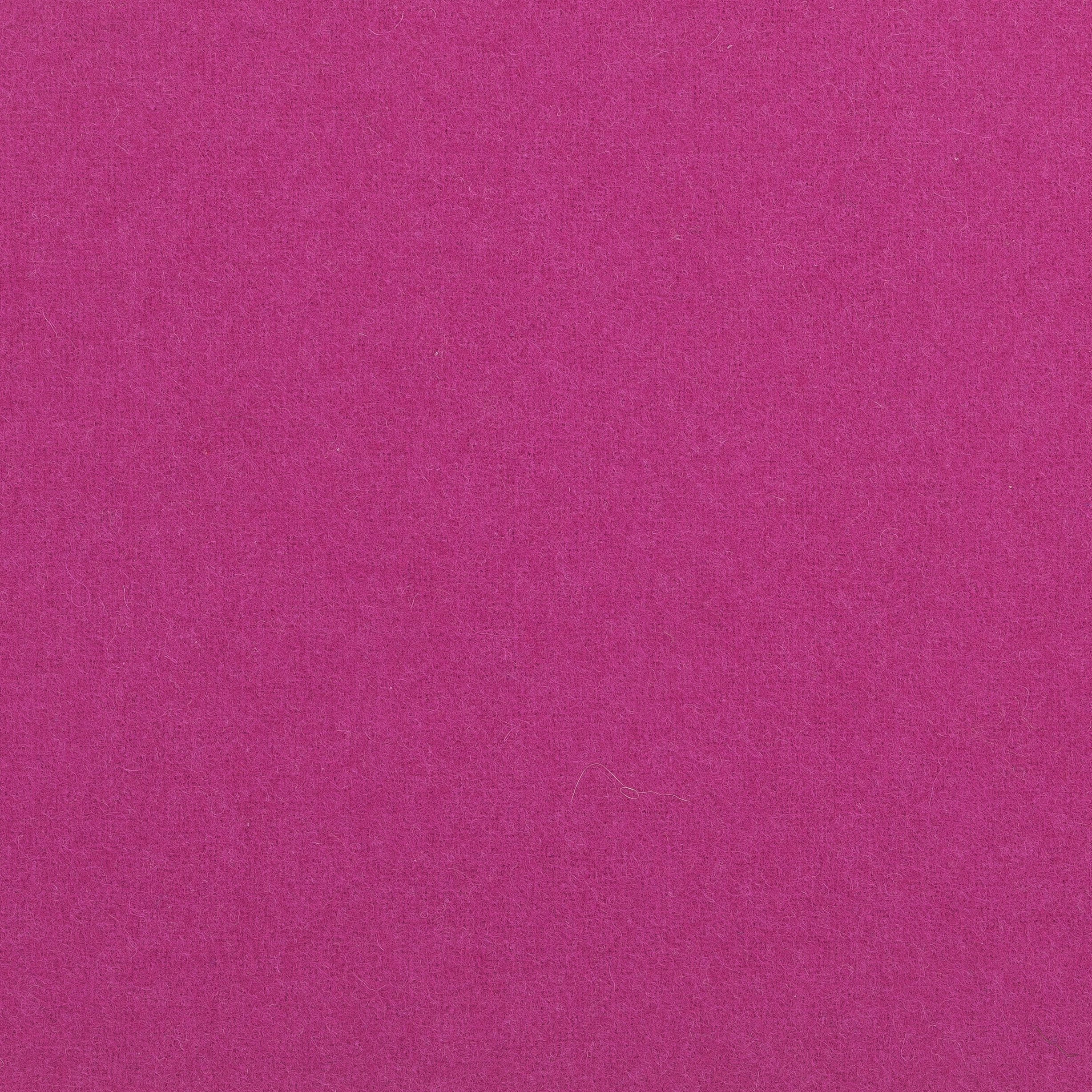Bergen pink