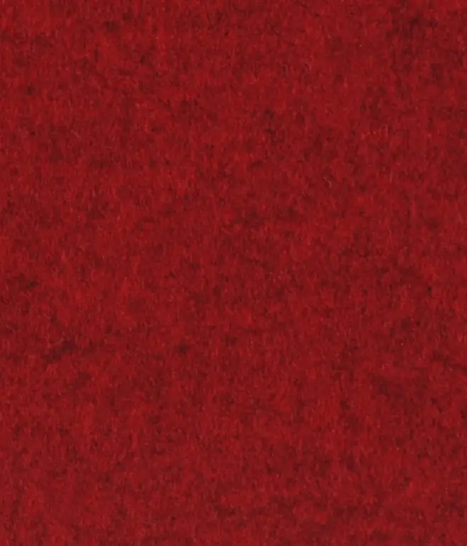 Steiner1888 - Bergen cherry
