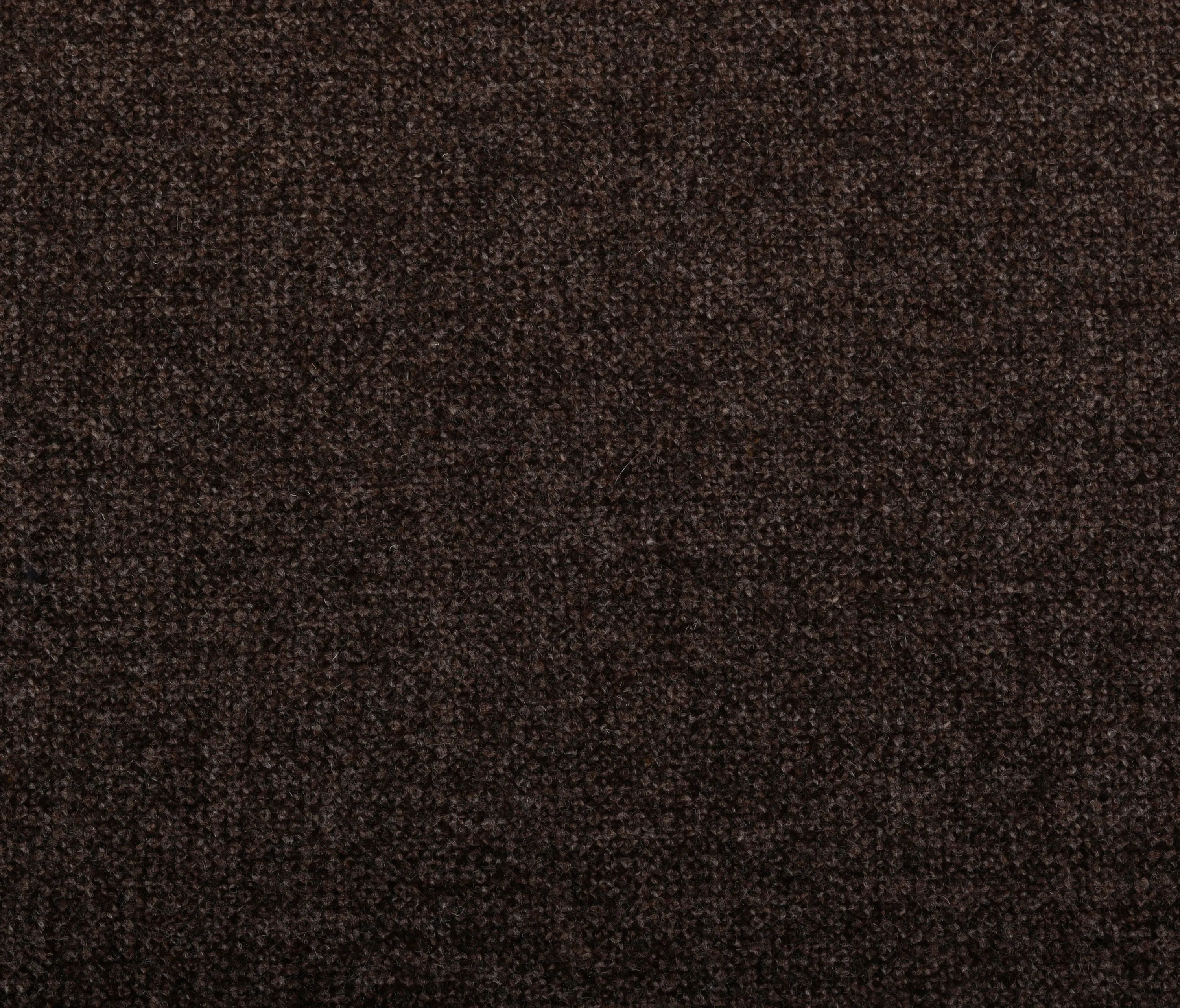 Steiner1888 - Freising brown