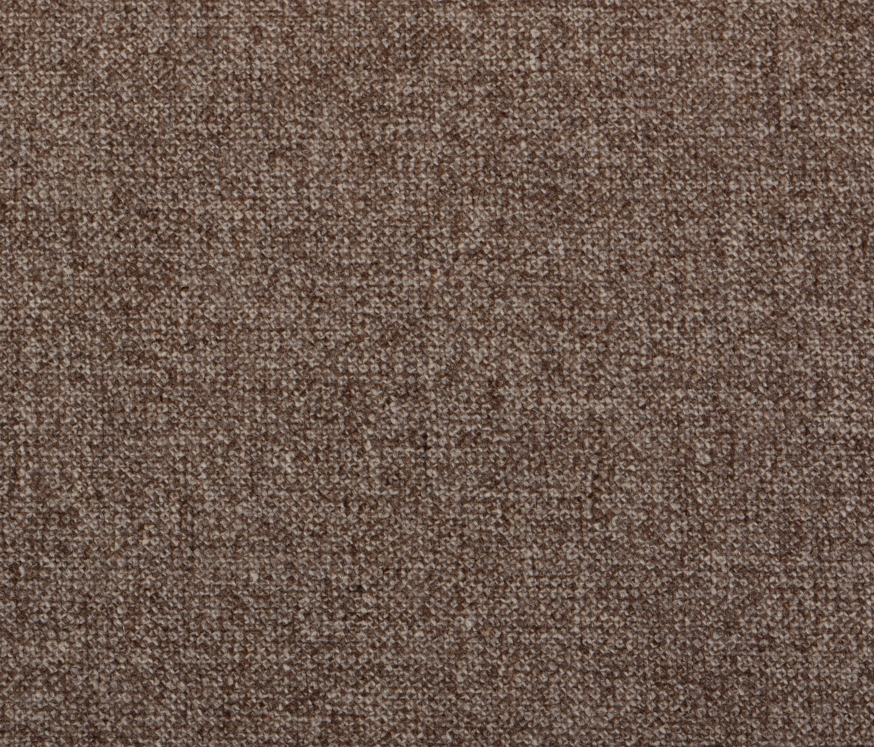 Steiner1888 - Freising brown