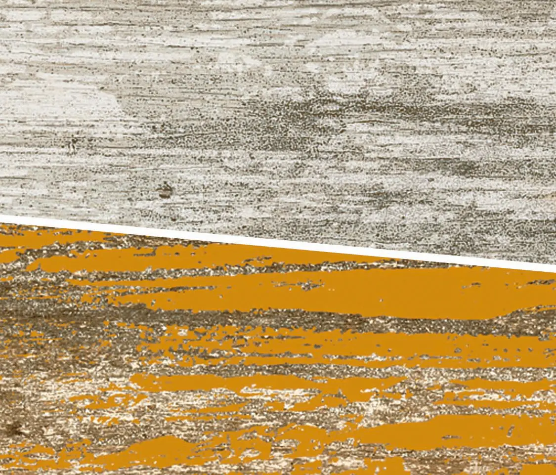 gallery-slide-0