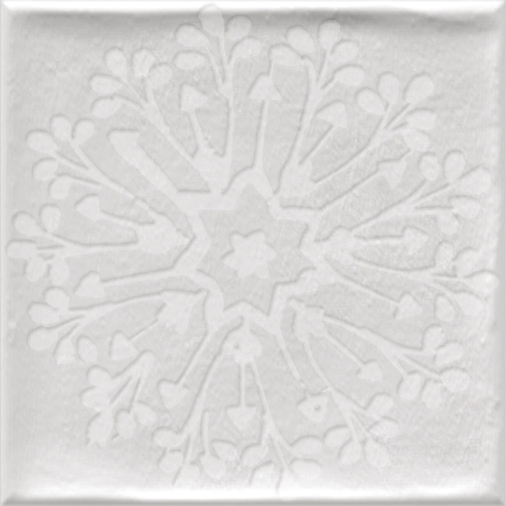 Etnia | Tamil Blanco