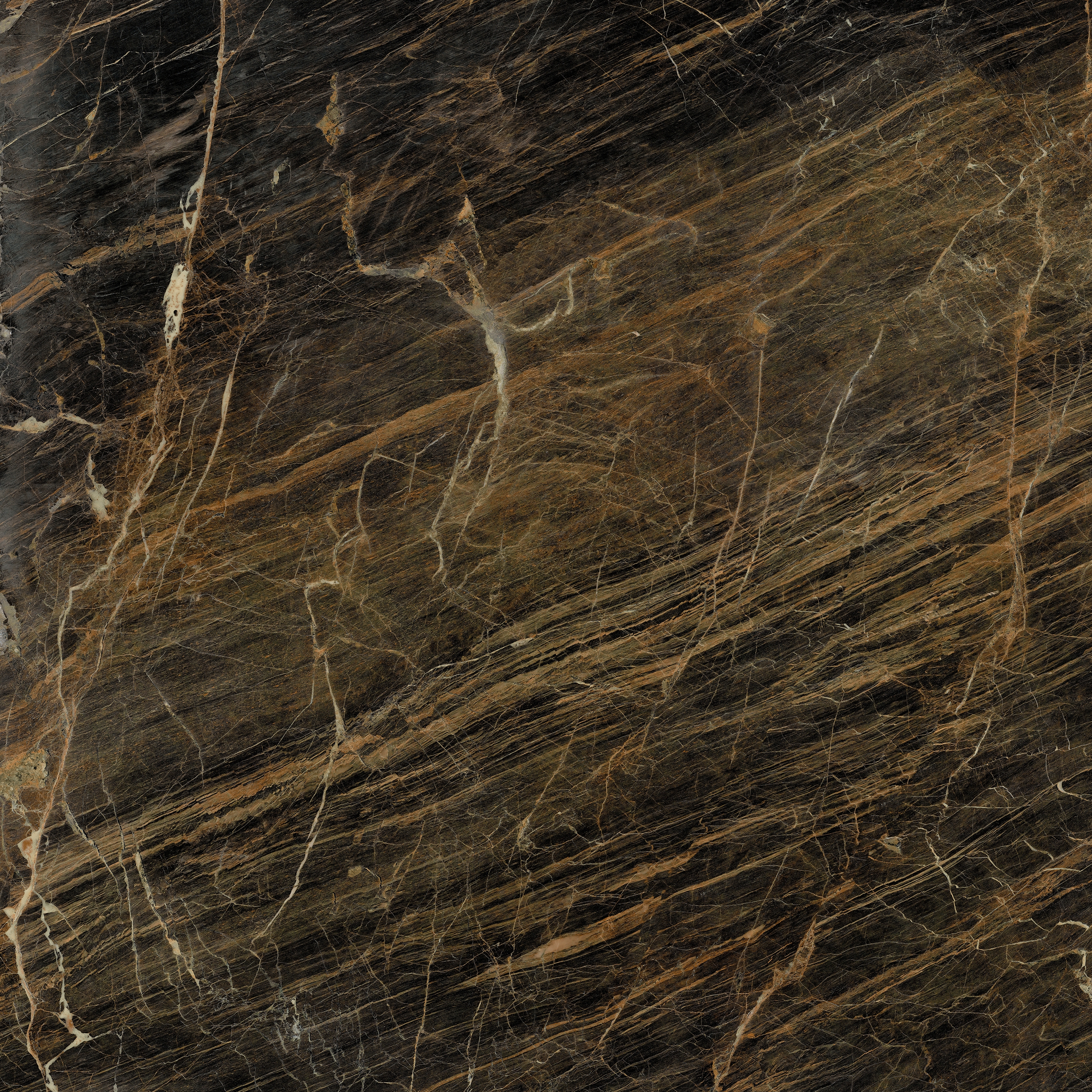 Mostra il prodotto Marblelous | Merano-R Pulido del produttore VIVES Cerámica