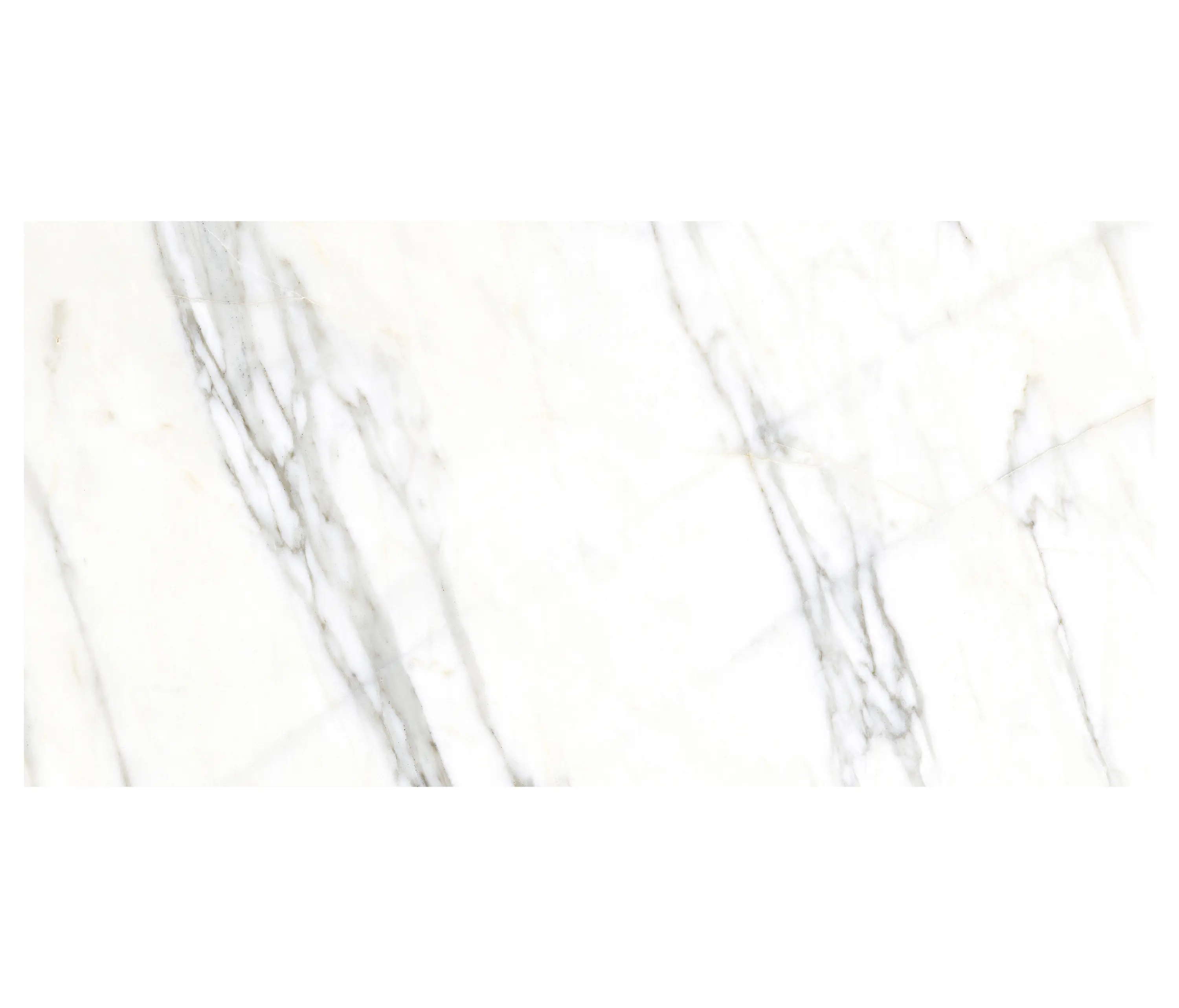 VIVES Cerámica - Marblelous | Verbier-R Pulido