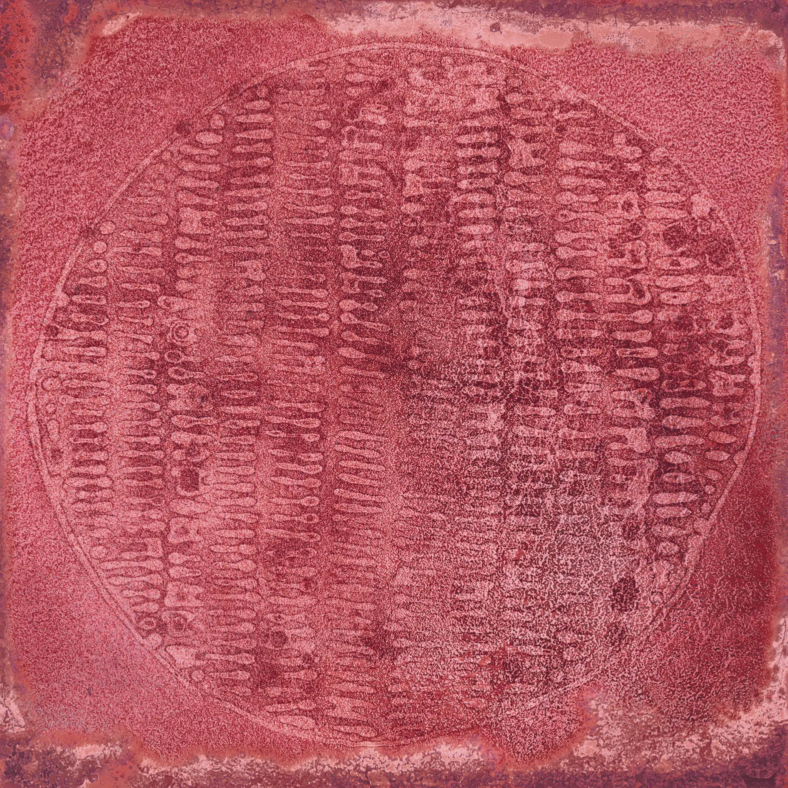 VIVES Cerámica - Luca Carlo Granate-B