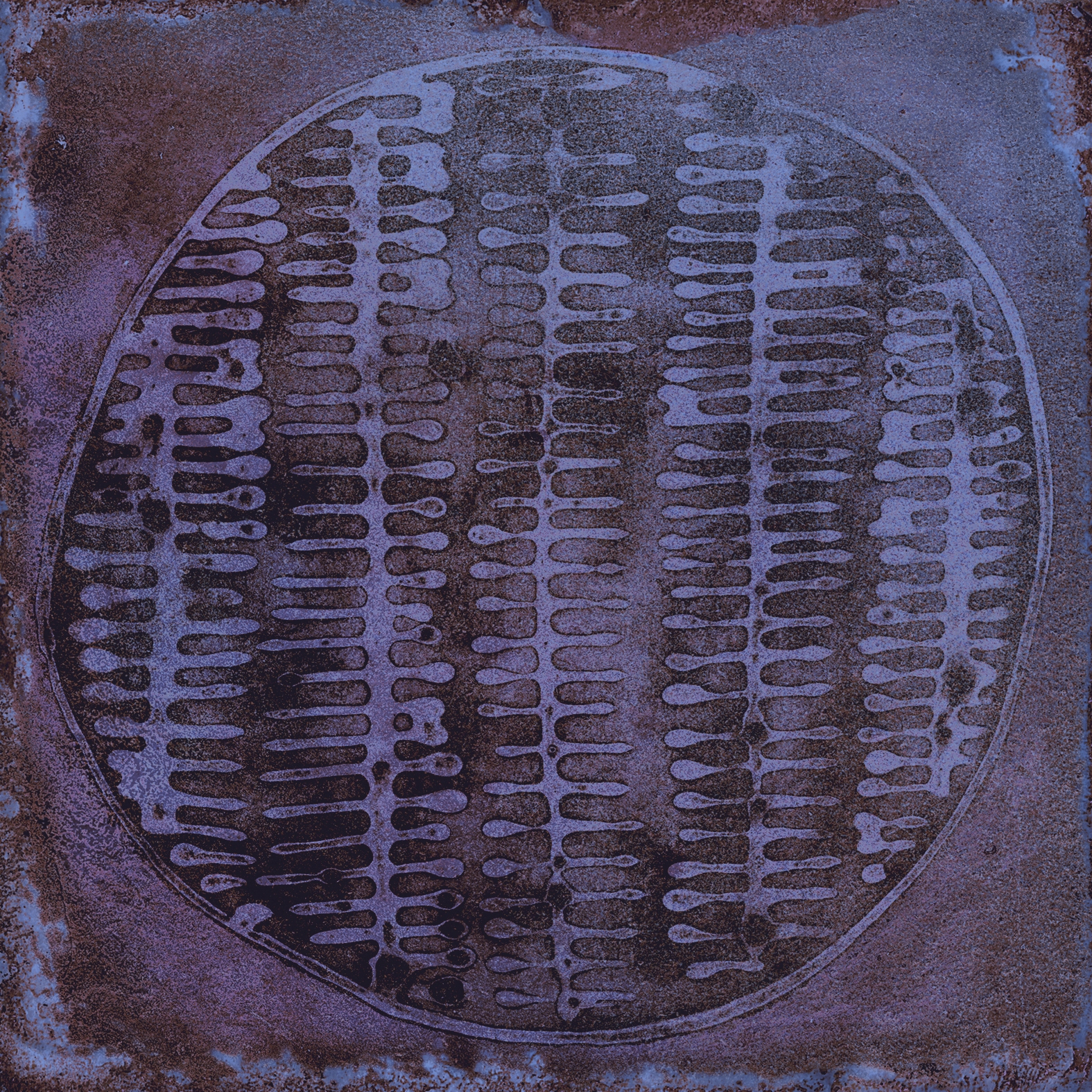 Luca Carlo Marino-B