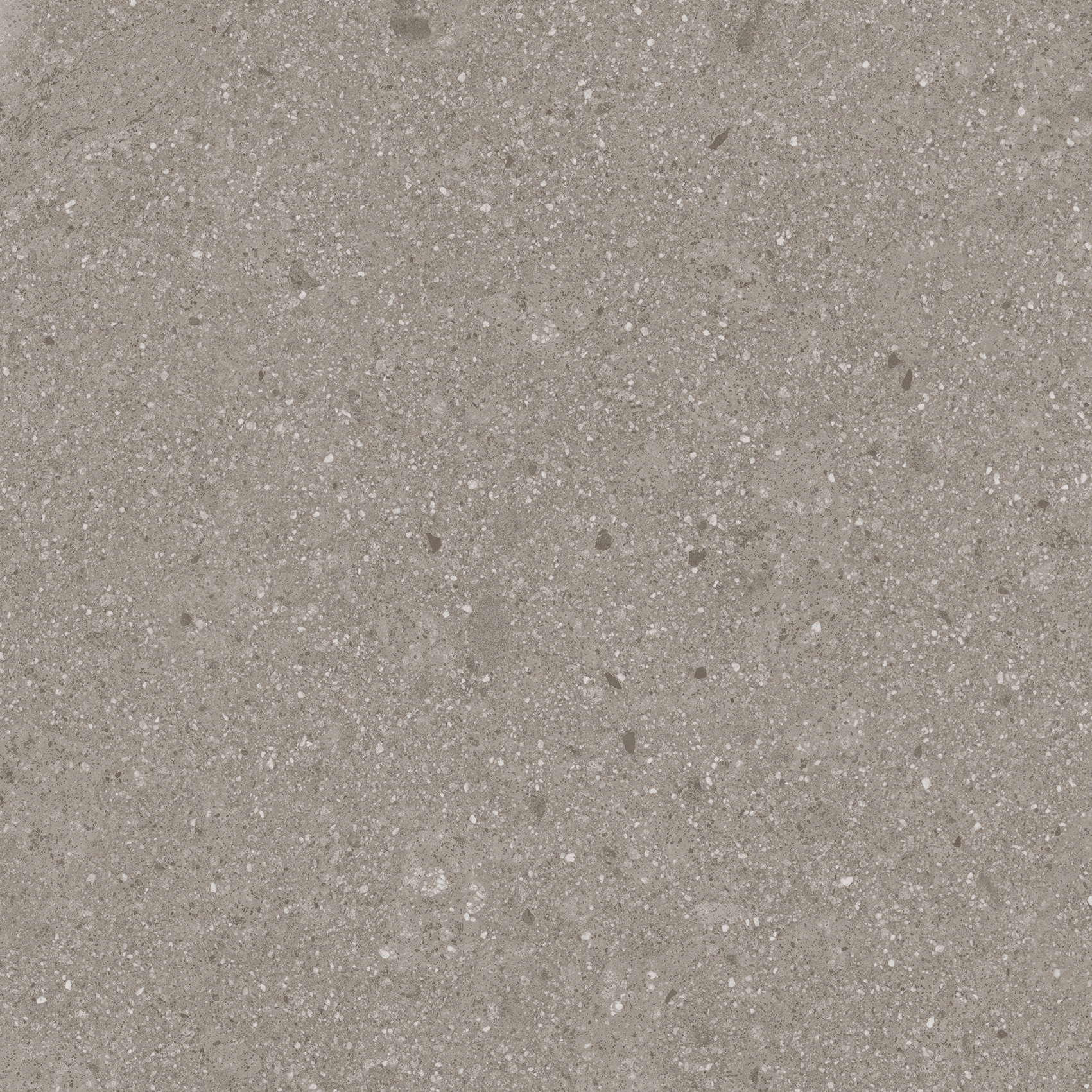 Pangea Gea AB|C Nuez