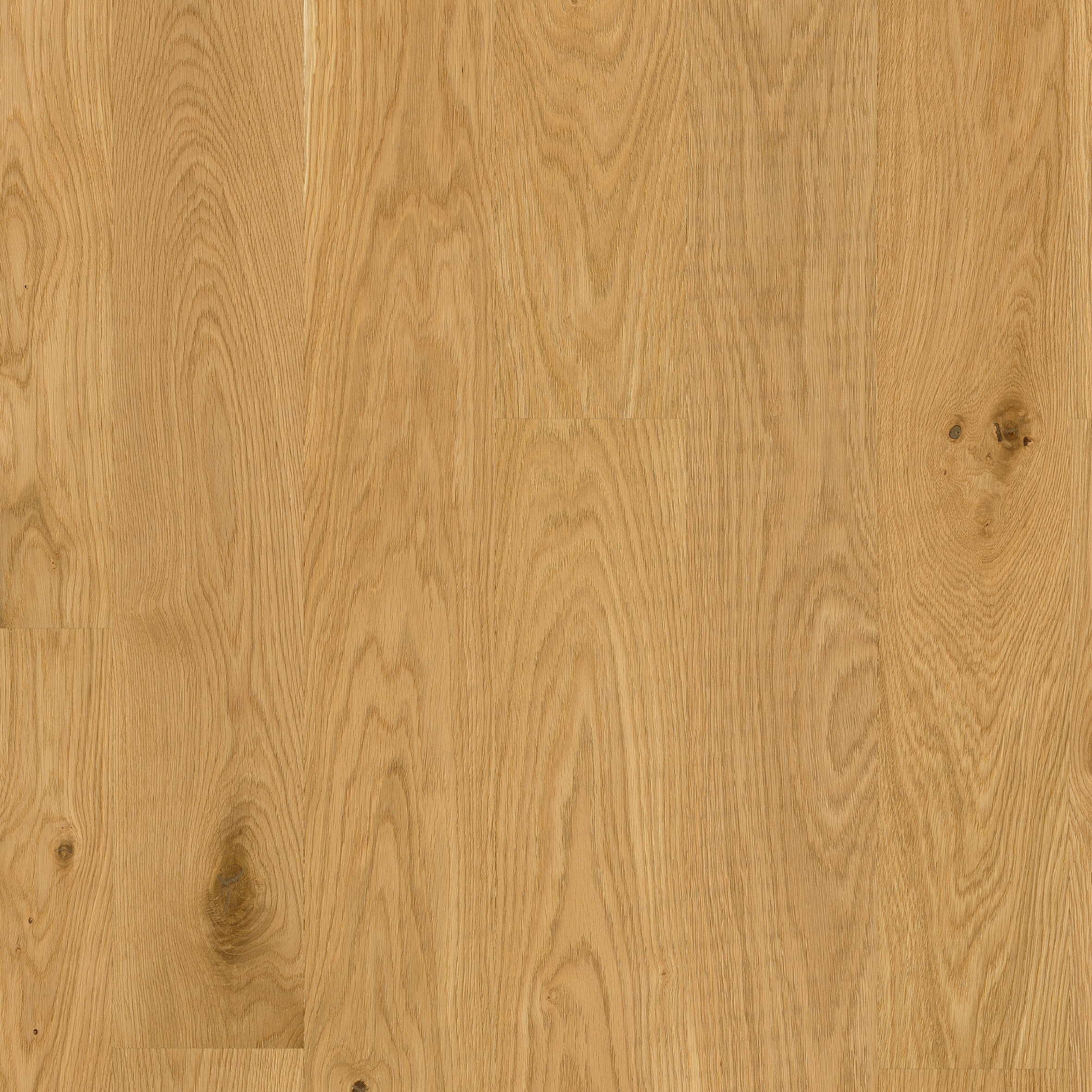 Display product Wooden Floors Oak | Hardwood Oak from manufacturer Admonter Holzindustrie AG