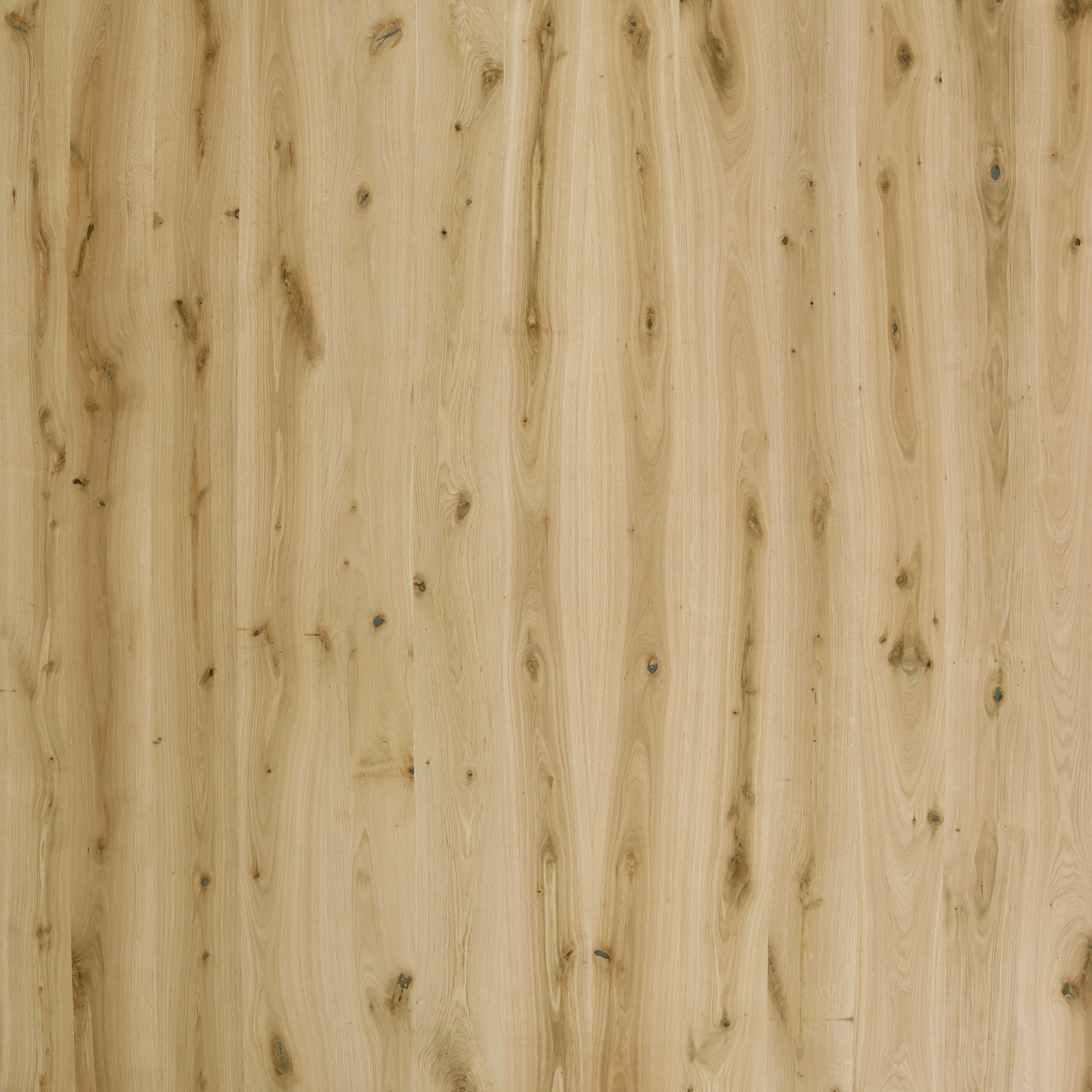 Pannelli in legno Galleria | Rovere rustico spazzolato