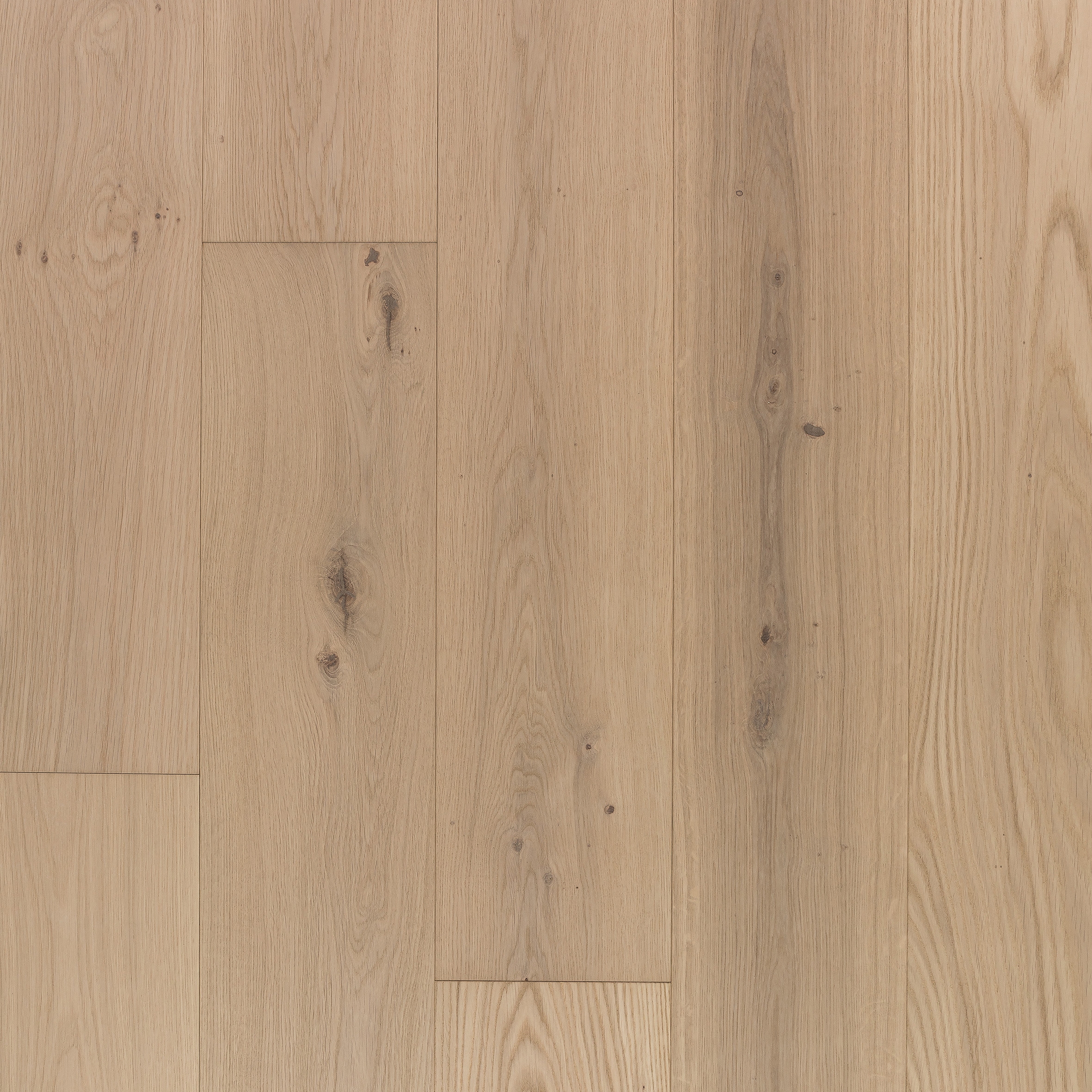 Display product Wooden Floors Oak | Hardwood Oak natura basic from manufacturer Admonter Holzindustrie AG