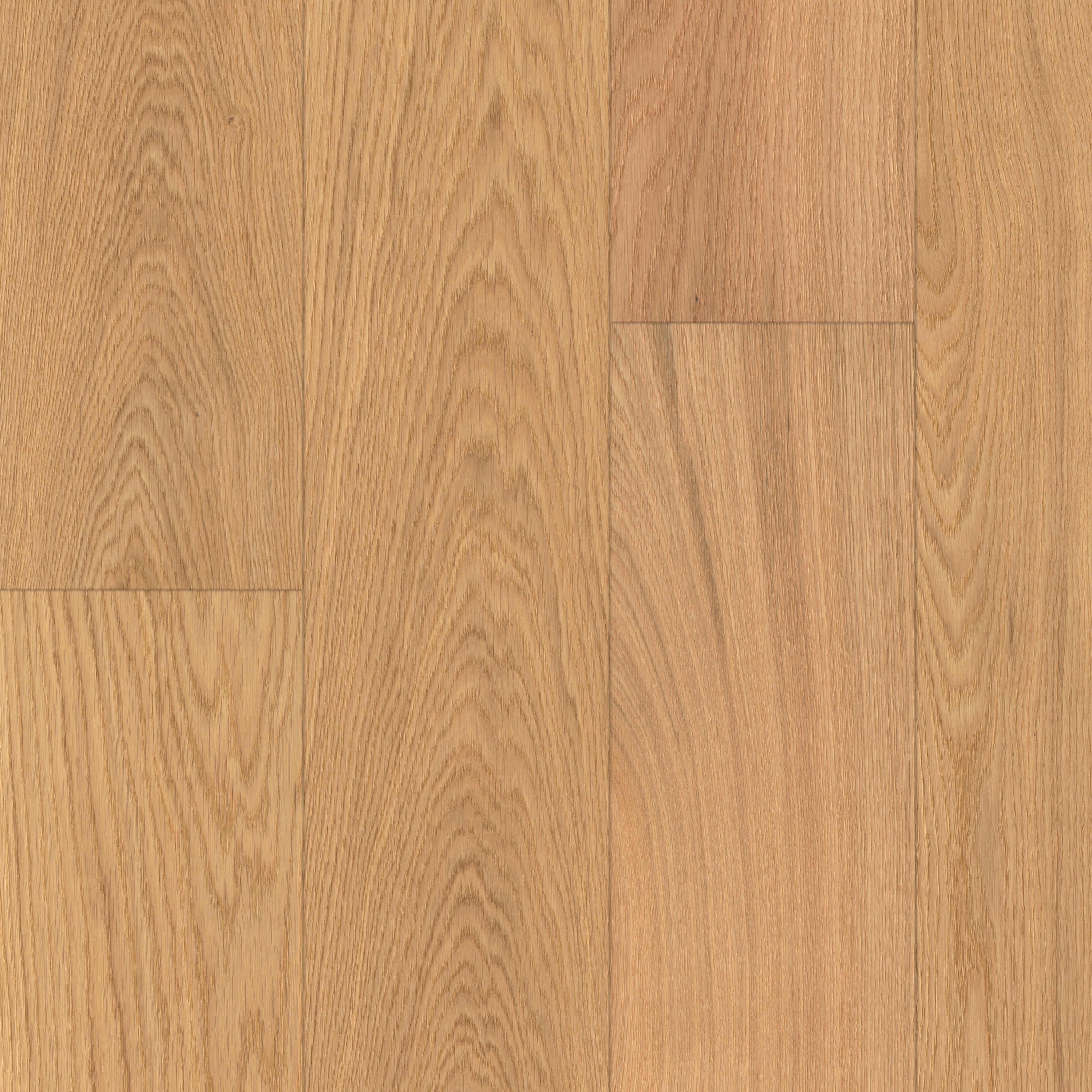 ONDO | Oak Frijo