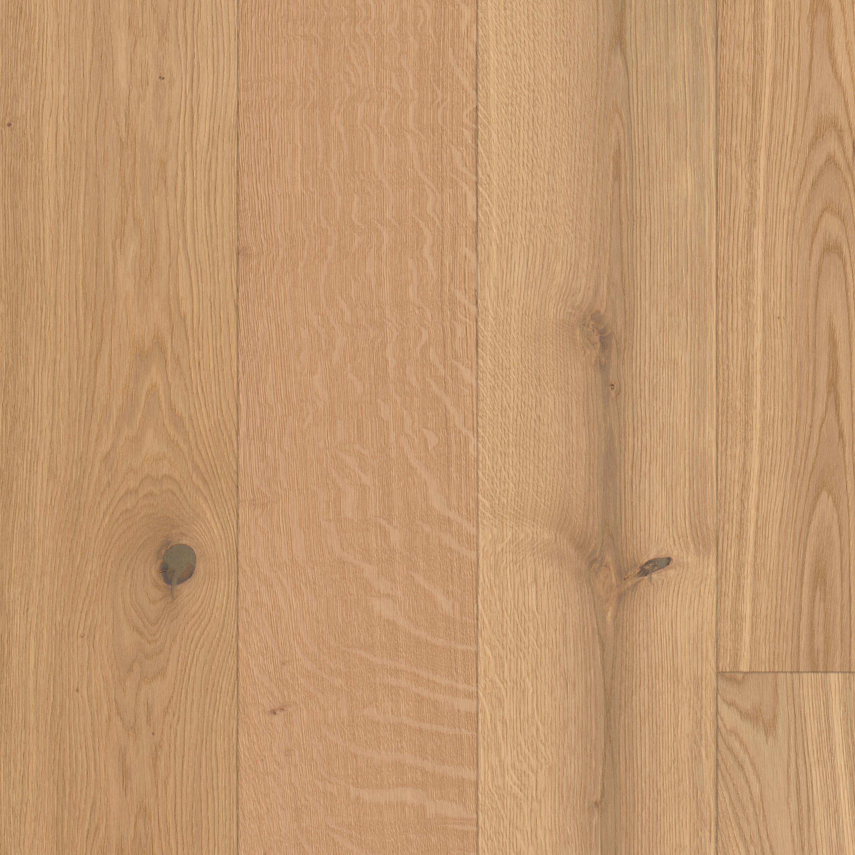 ONDO | Oak Frosti