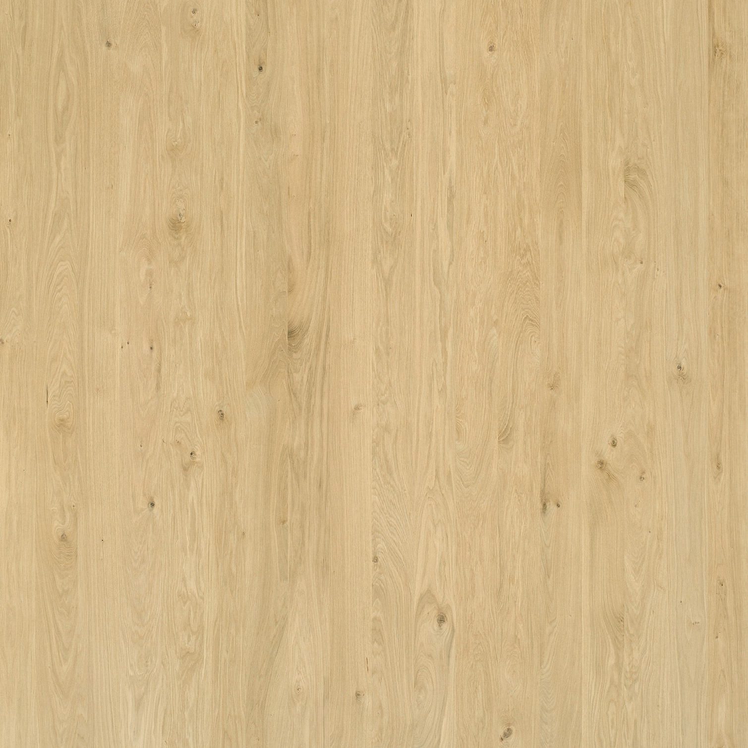 Display product Wooden panels Elements Hardwood | Oak Panels for furniture from manufacturer Admonter Holzindustrie AG