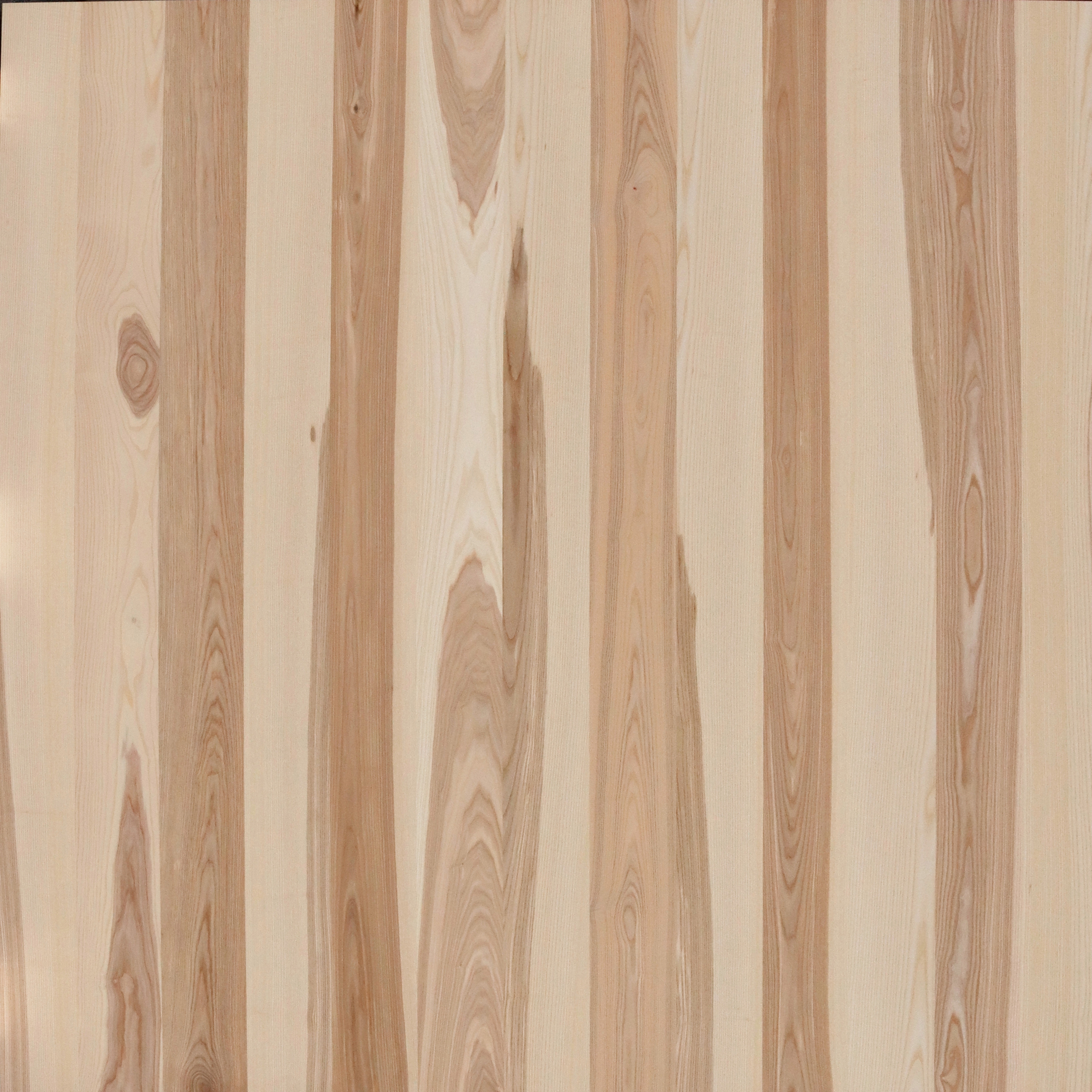 Mostra il prodotto Pannelli in legno Elements Latifoglie | Frassino di cuore pannelli per mobili del produttore Admonter Holzindustrie AG