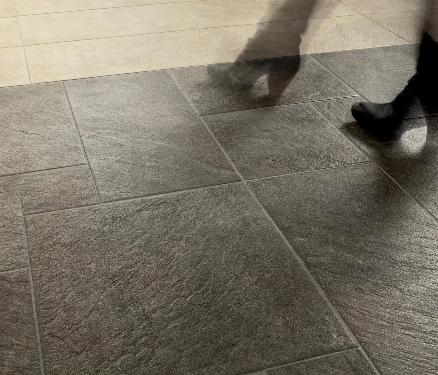 Caesar - Roxstones Silvergrey