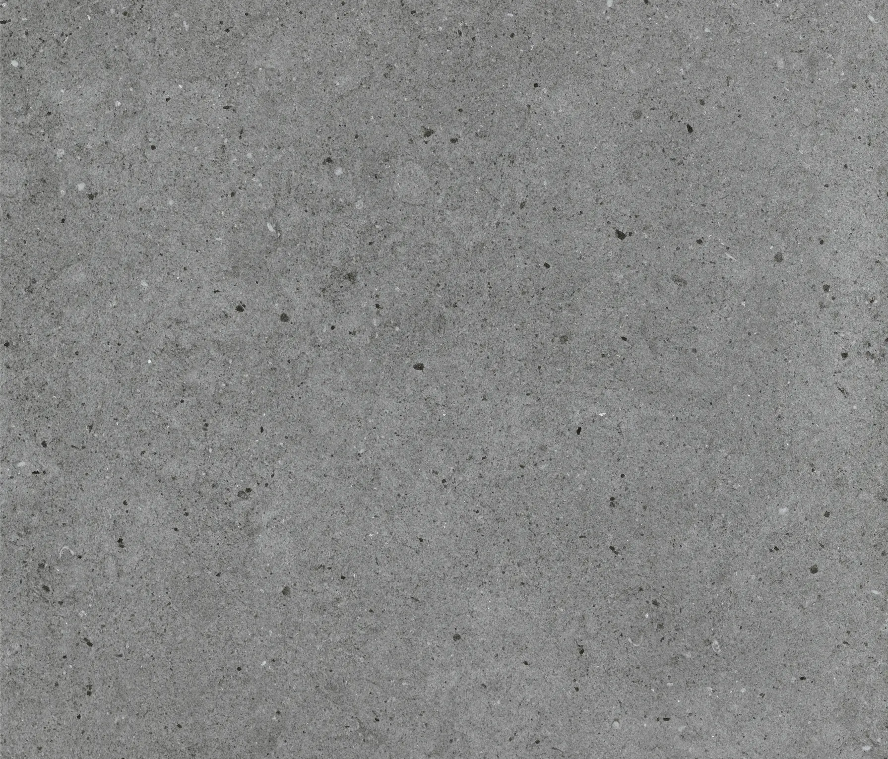 Caesar - Argent Stone In