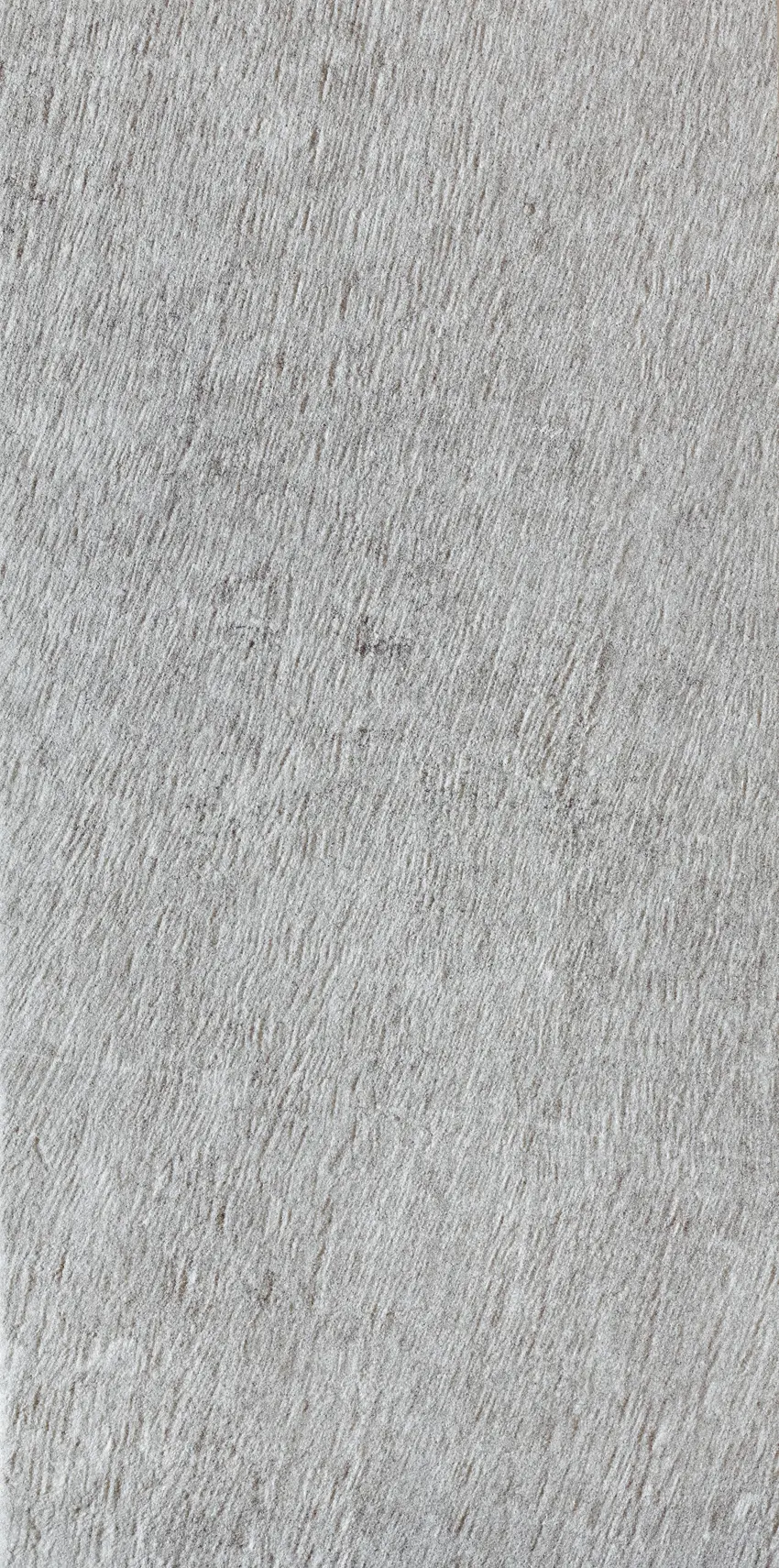 Caesar - Belgian Grey Out