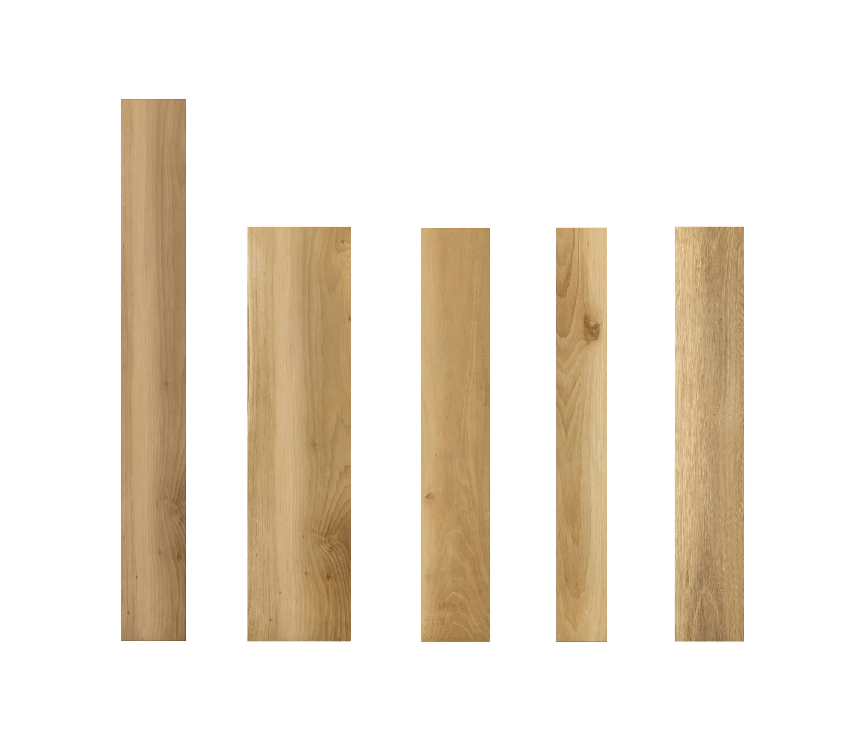 Caesar - Life Oak