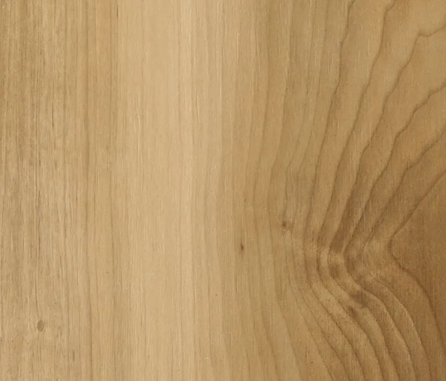 Caesar - Life Oak