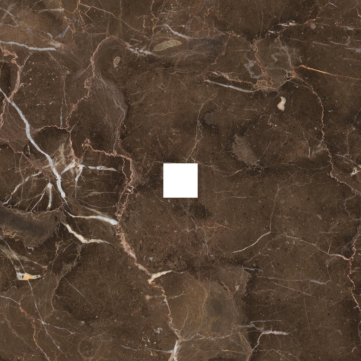 Display product Anima Decors Inserto | Dark Emperador from manufacturer Caesar