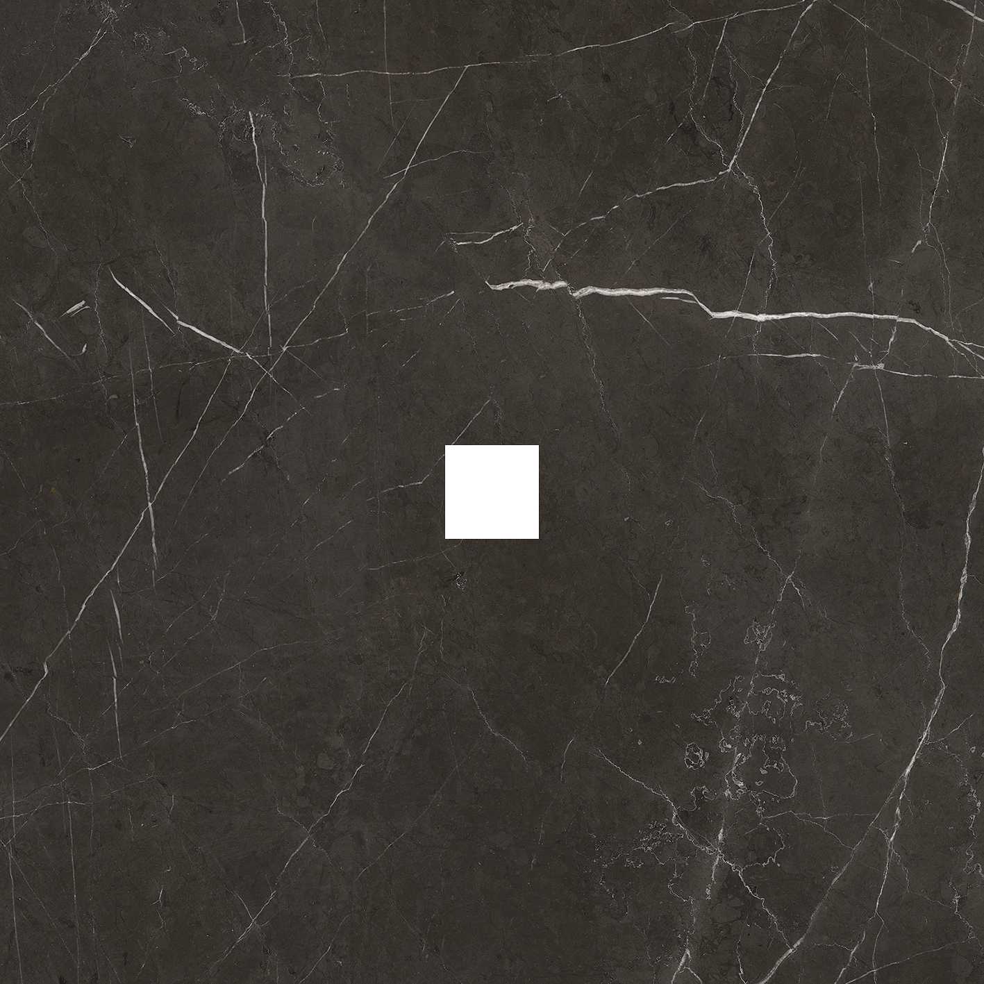 Produkt Anima Dekore Inserto | Graphite des Herstellers Caesar anzeigen