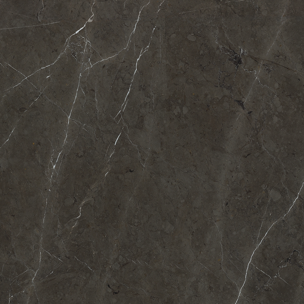 Display product Anima Fondi Lucidato | Graphite from manufacturer Caesar