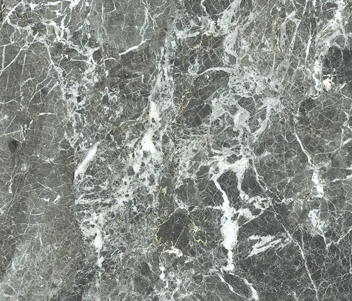Caesar - Anima Fondi Lucidato | Grey St. Laurent
