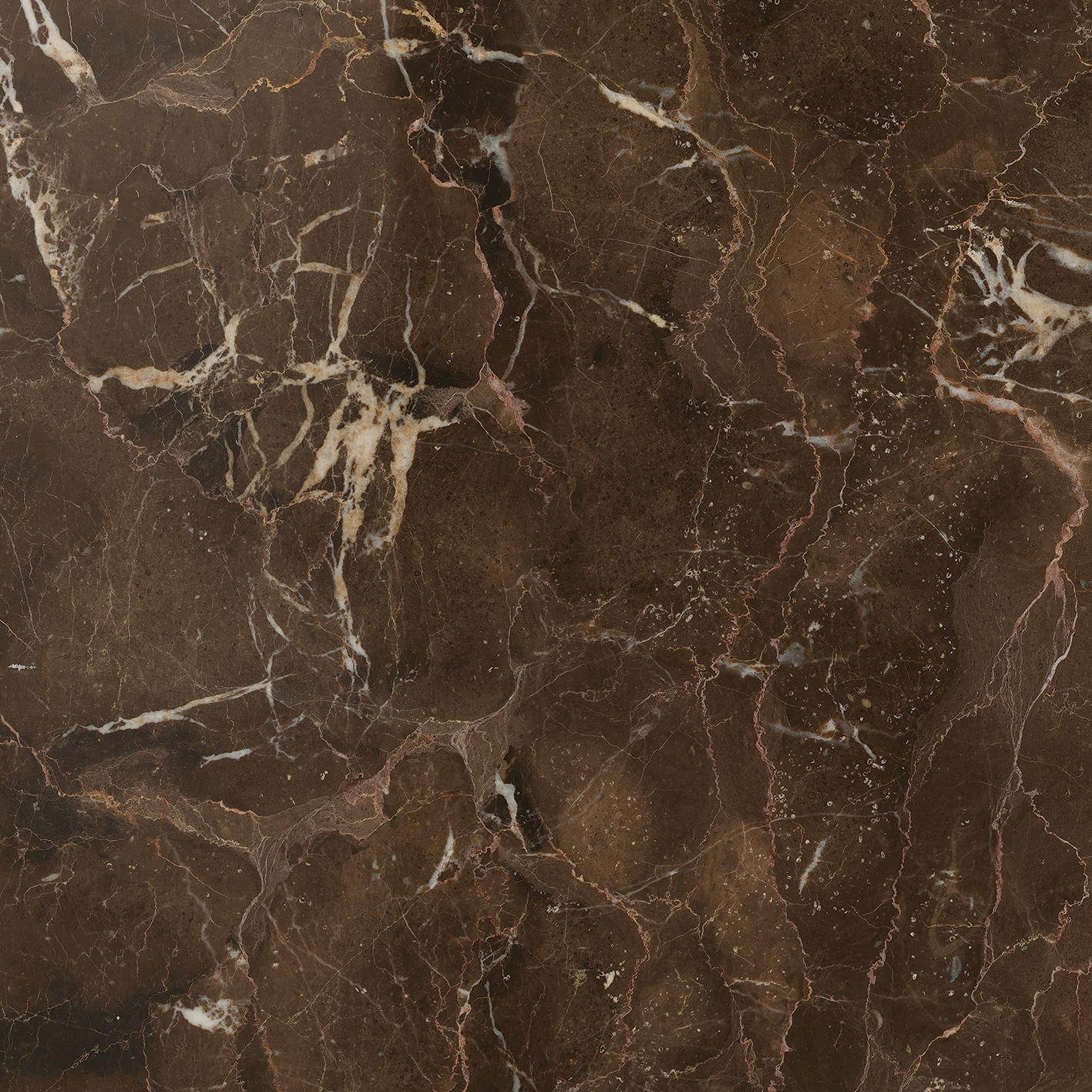Display product Anima Fuori Gamma Lucidato | Dark Emperador from manufacturer Caesar