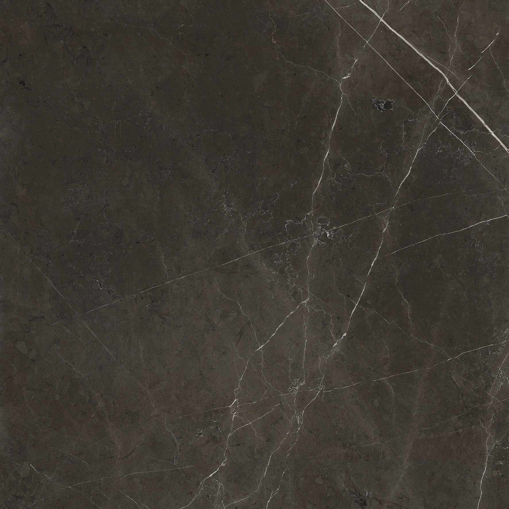 Display product Anima Fuori Gamma Naturale | Graphite from manufacturer Caesar