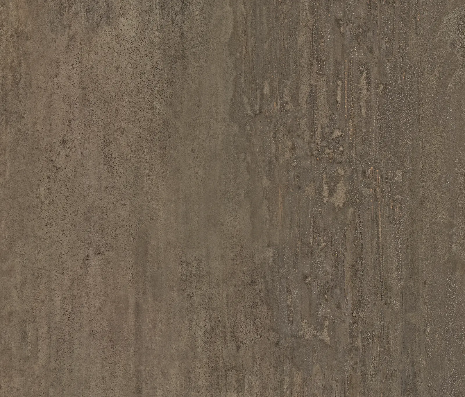 Caesar - Trace Bronze