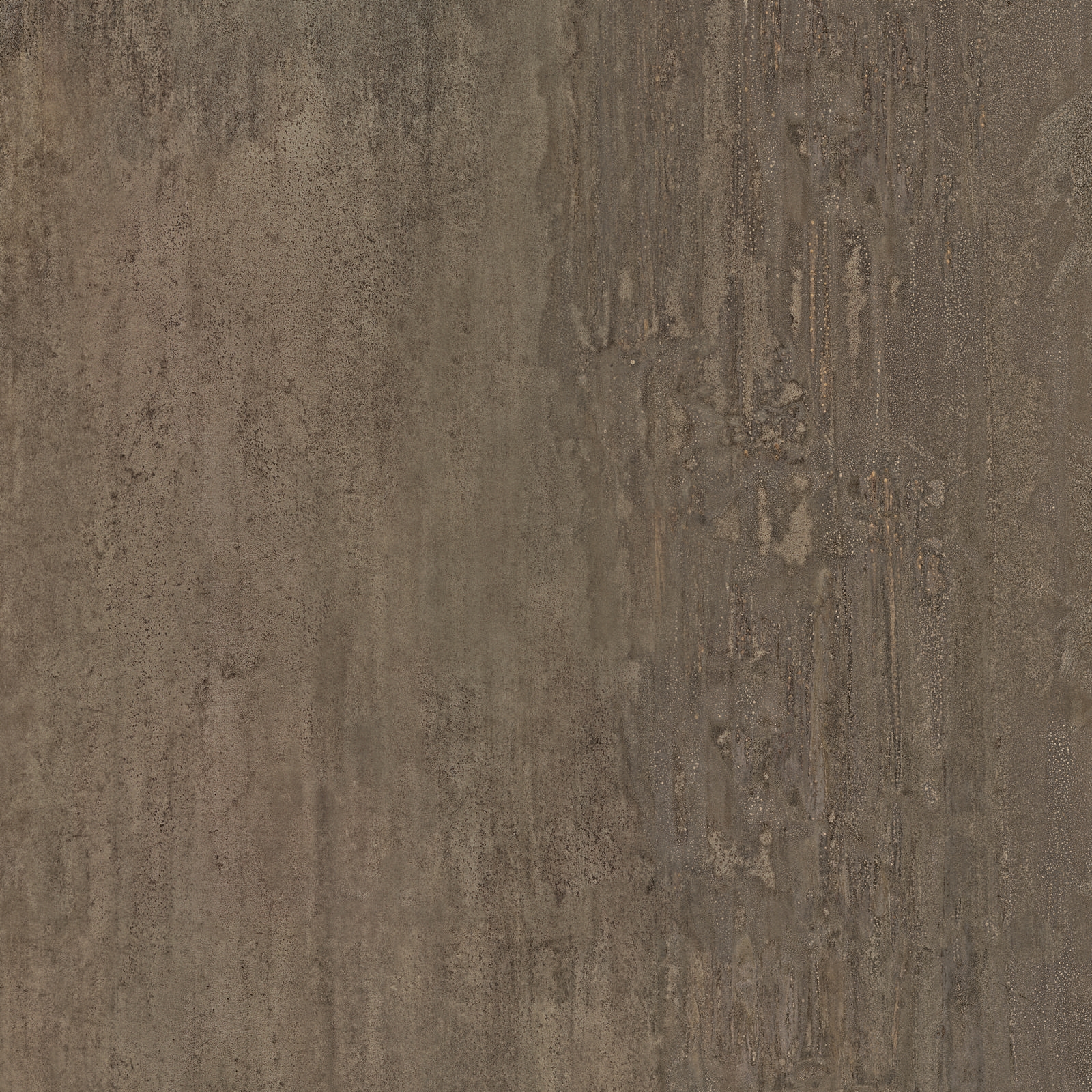 Display product Trace Bronze from manufacturer Caesar