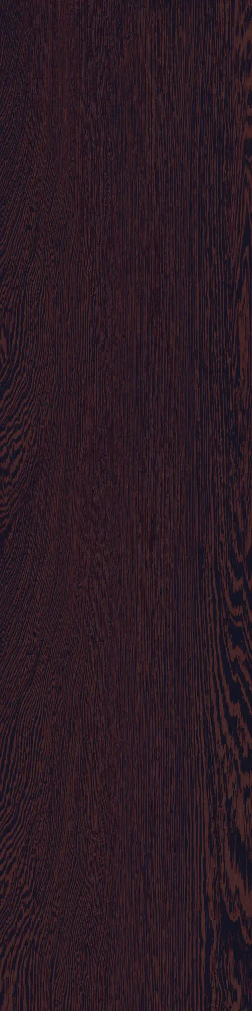 Caesar - Fabula | Fabalis 30x120