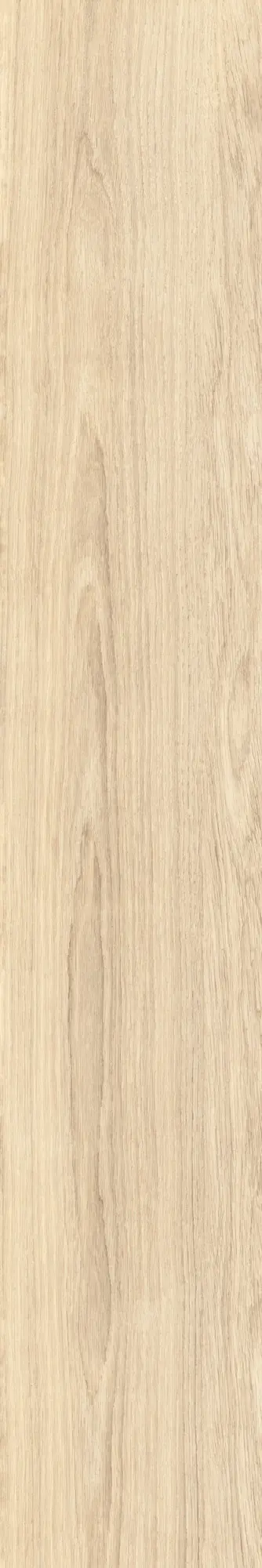 Caesar - Fabula | Robur 20x120