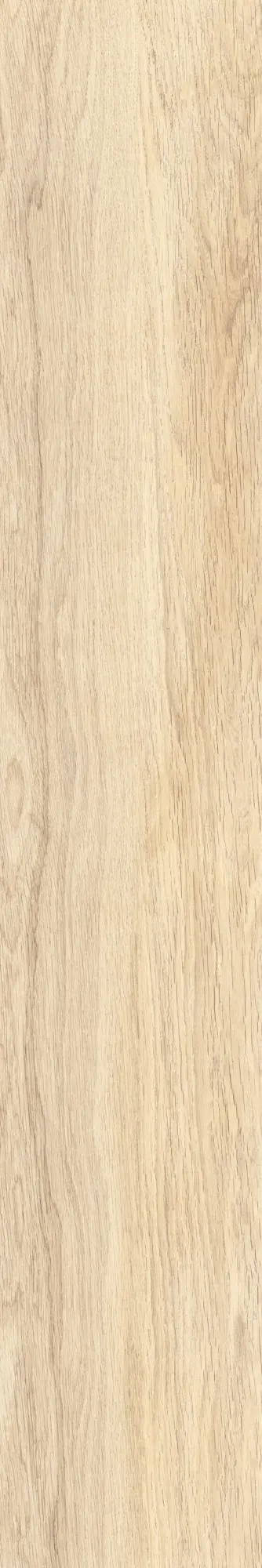 Caesar - Fabula | Robur 20x120